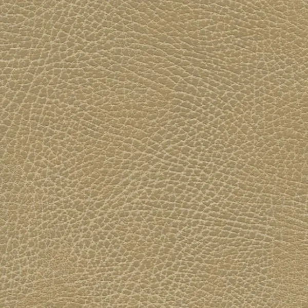 Buckskin