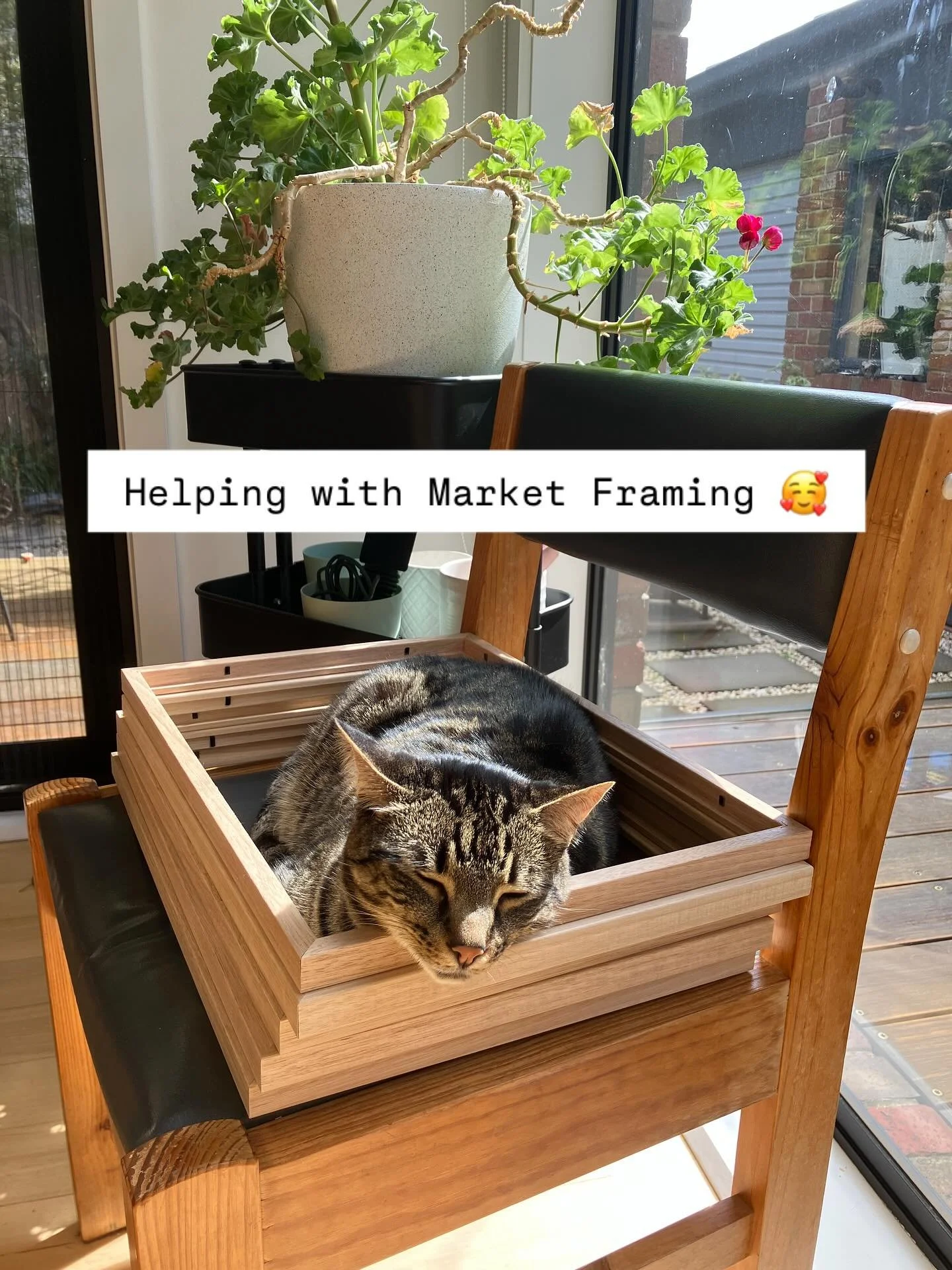 My very happy cat helping me frame my artwork for the @hillandridgecommunitymarket tomorrow.  Problem is I need those frames so his bliss is going to be destroyed soon 😂❤️ #colourmeadow #cathelper #suncat #artcat #hillandridgecommunitymarket