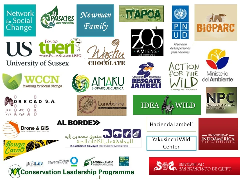 WHAT WE DO WASHU what-we-do-washu