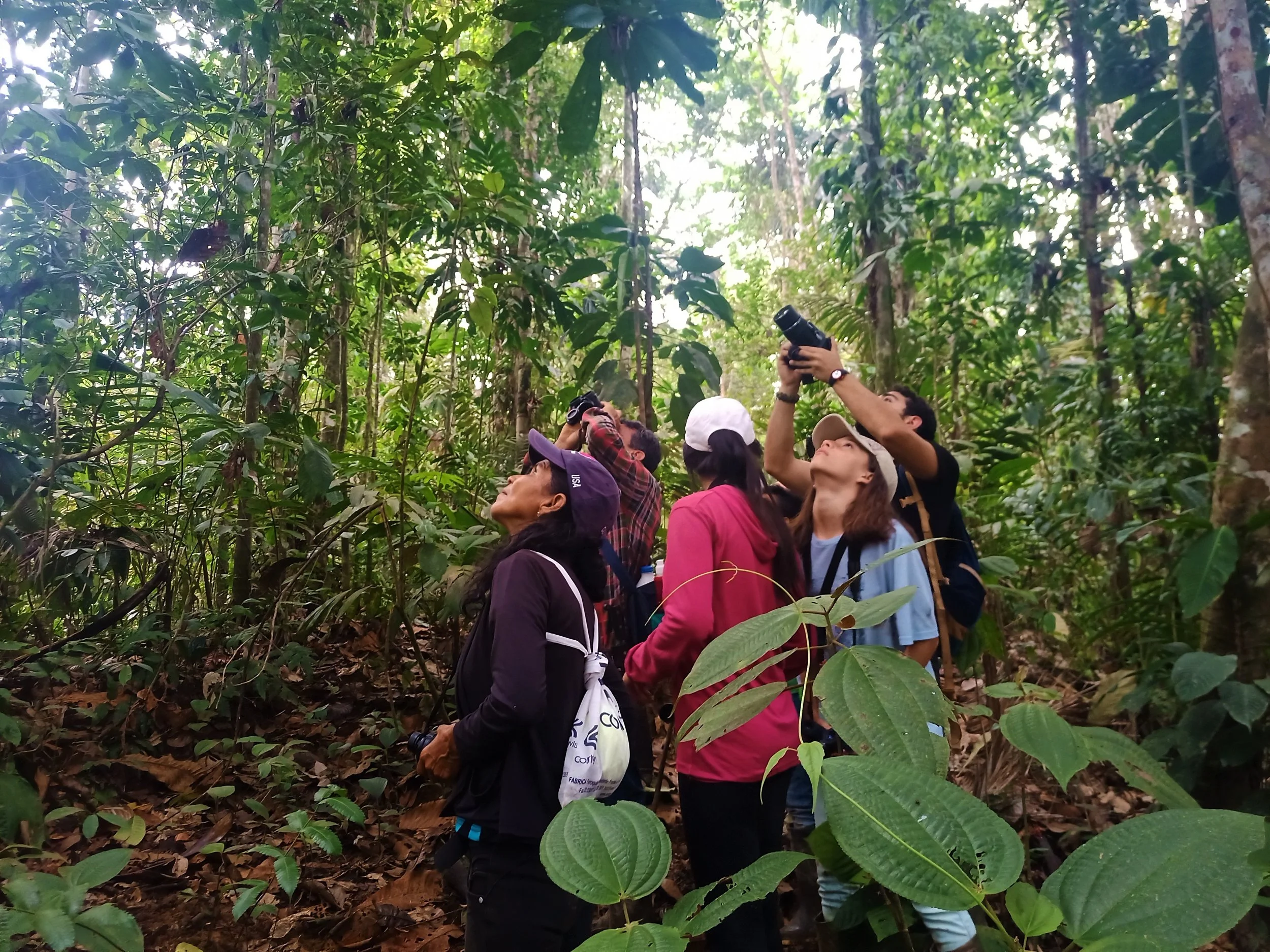 ENVIRONMENTAL EDUCATION — WASHU