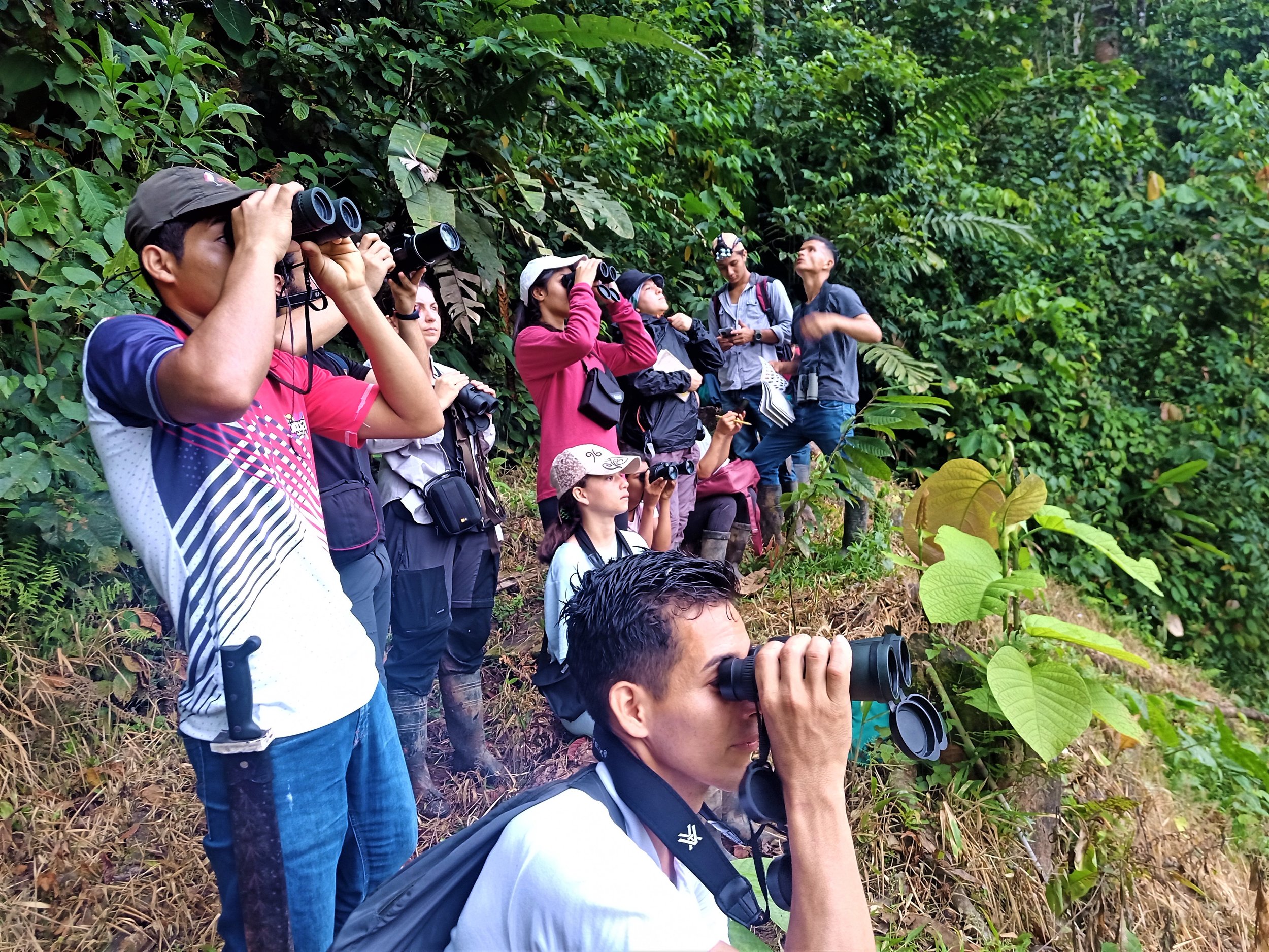 ENVIRONMENTAL EDUCATION — WASHU