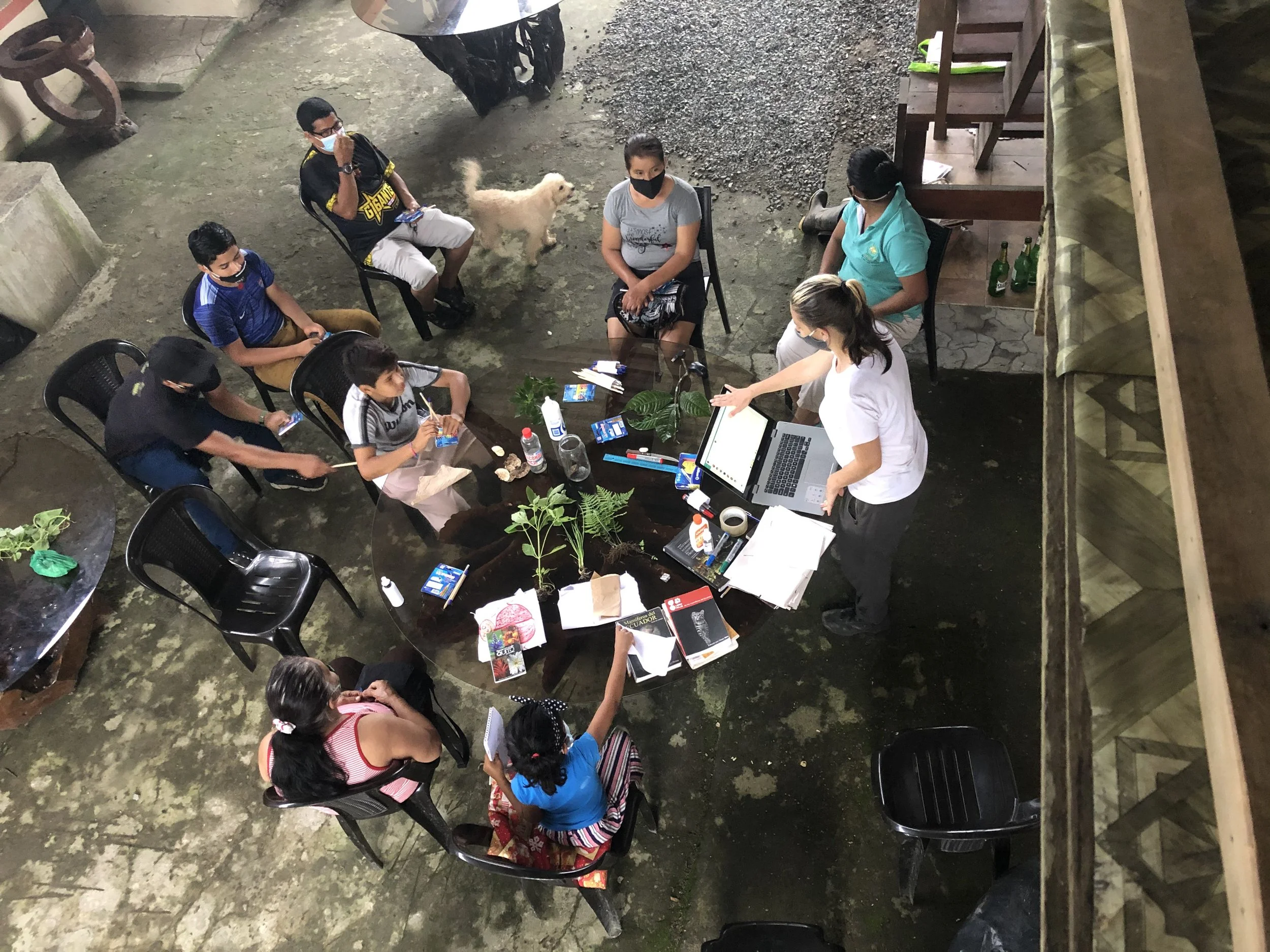 ENVIRONMENTAL EDUCATION — WASHU