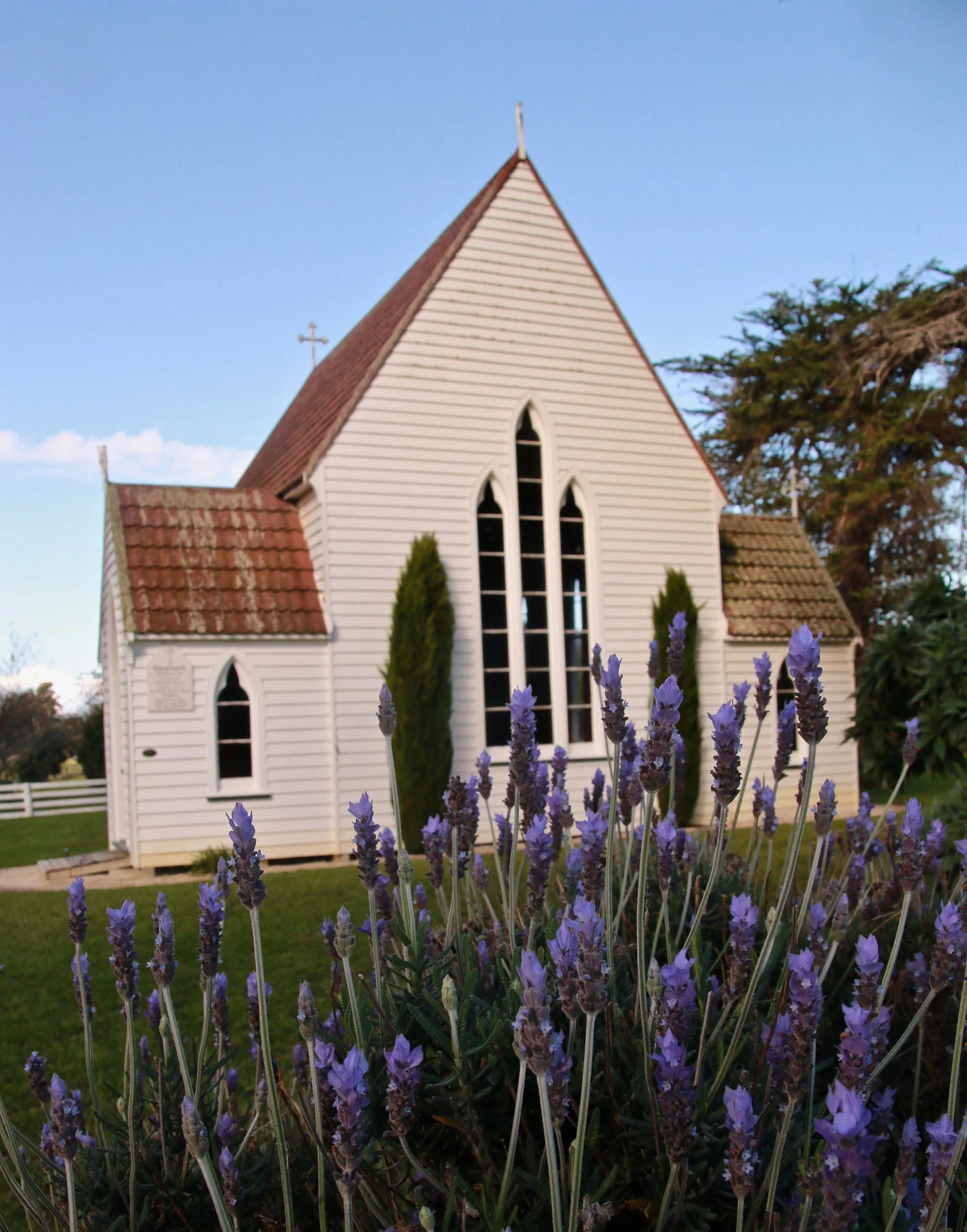 beautiful_old_coutry_church_lavender_out_front_beautiful_day_rural_New_Zealand.jpg
