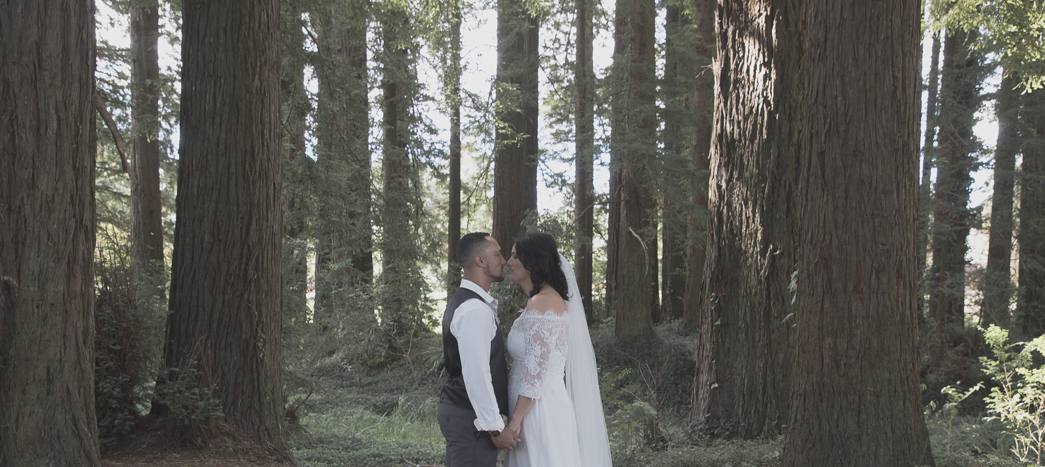bride and groom in redwoods forest