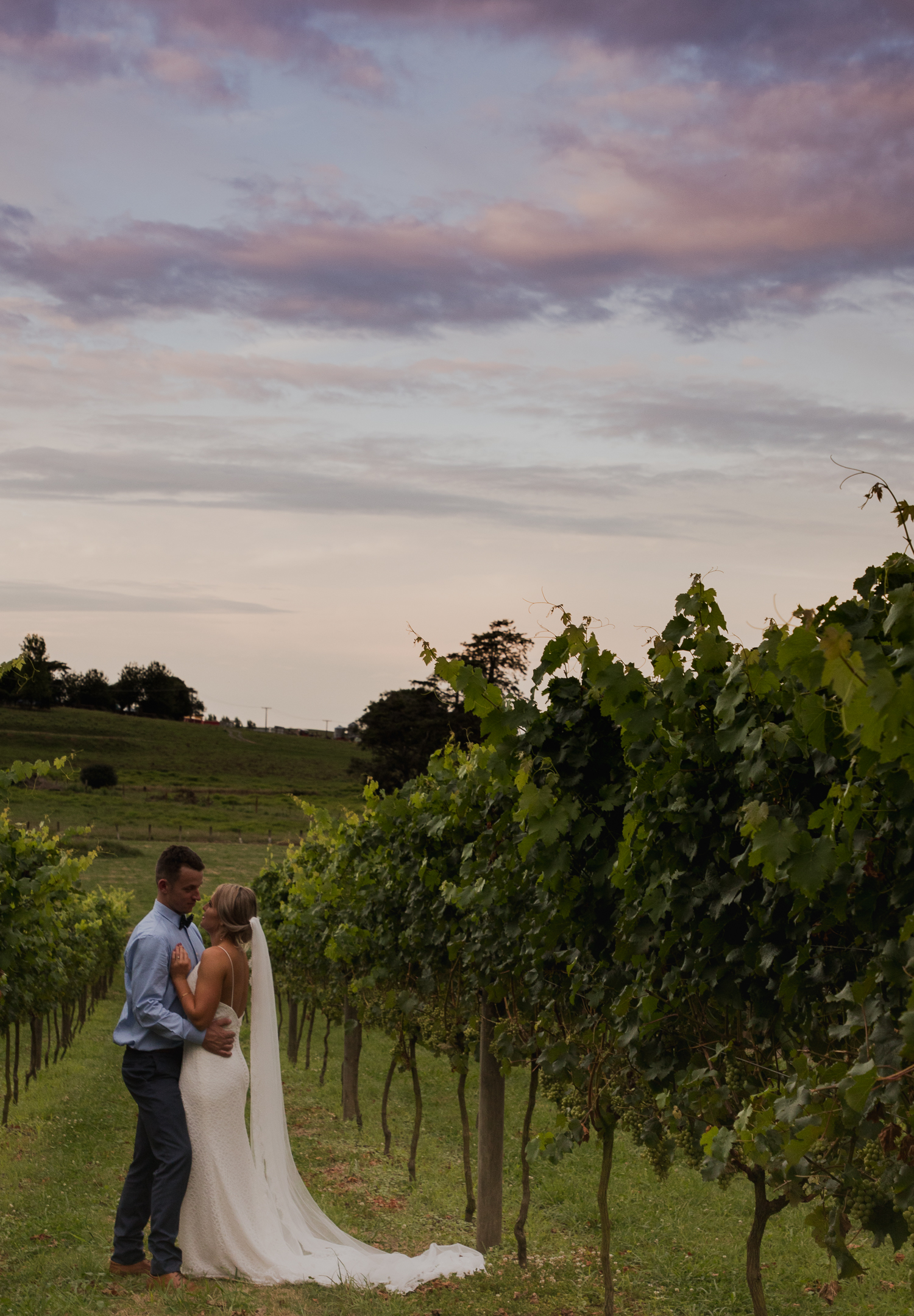 bride and groom at vilagrad winery