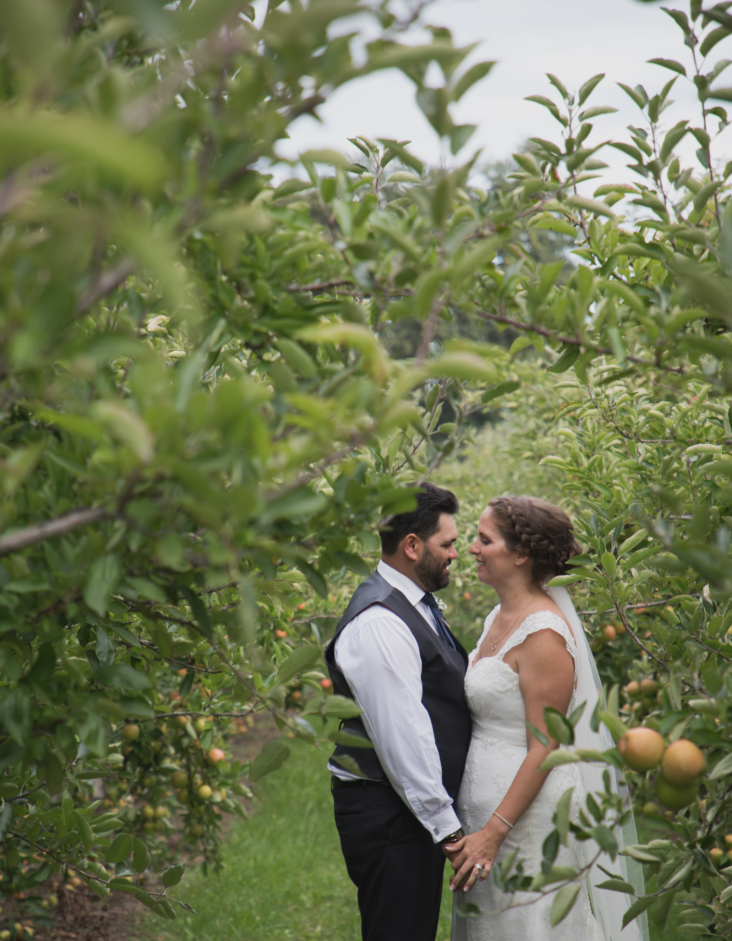 bride and groom together on wedding day in Hawkes Bay Apple Orchard
