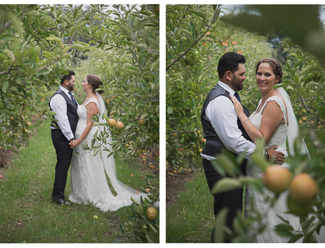 bride and groom together on wedding day in Hawkes Bay Apple Orchard