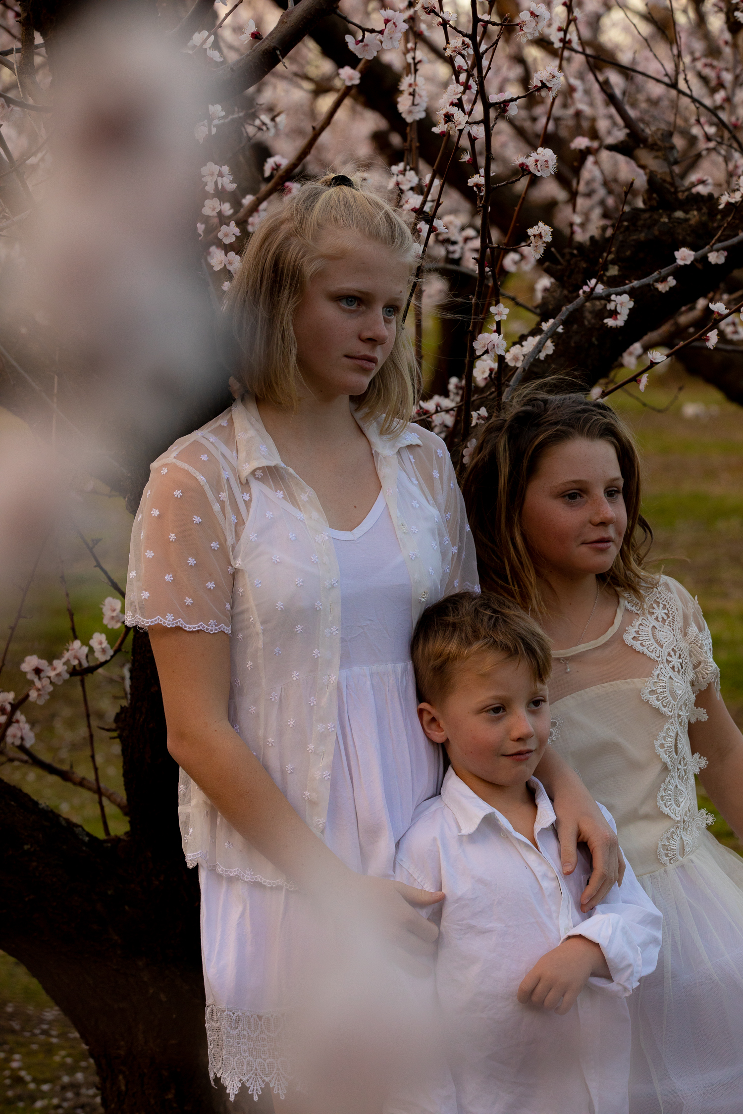 family in pink blossoms spring time