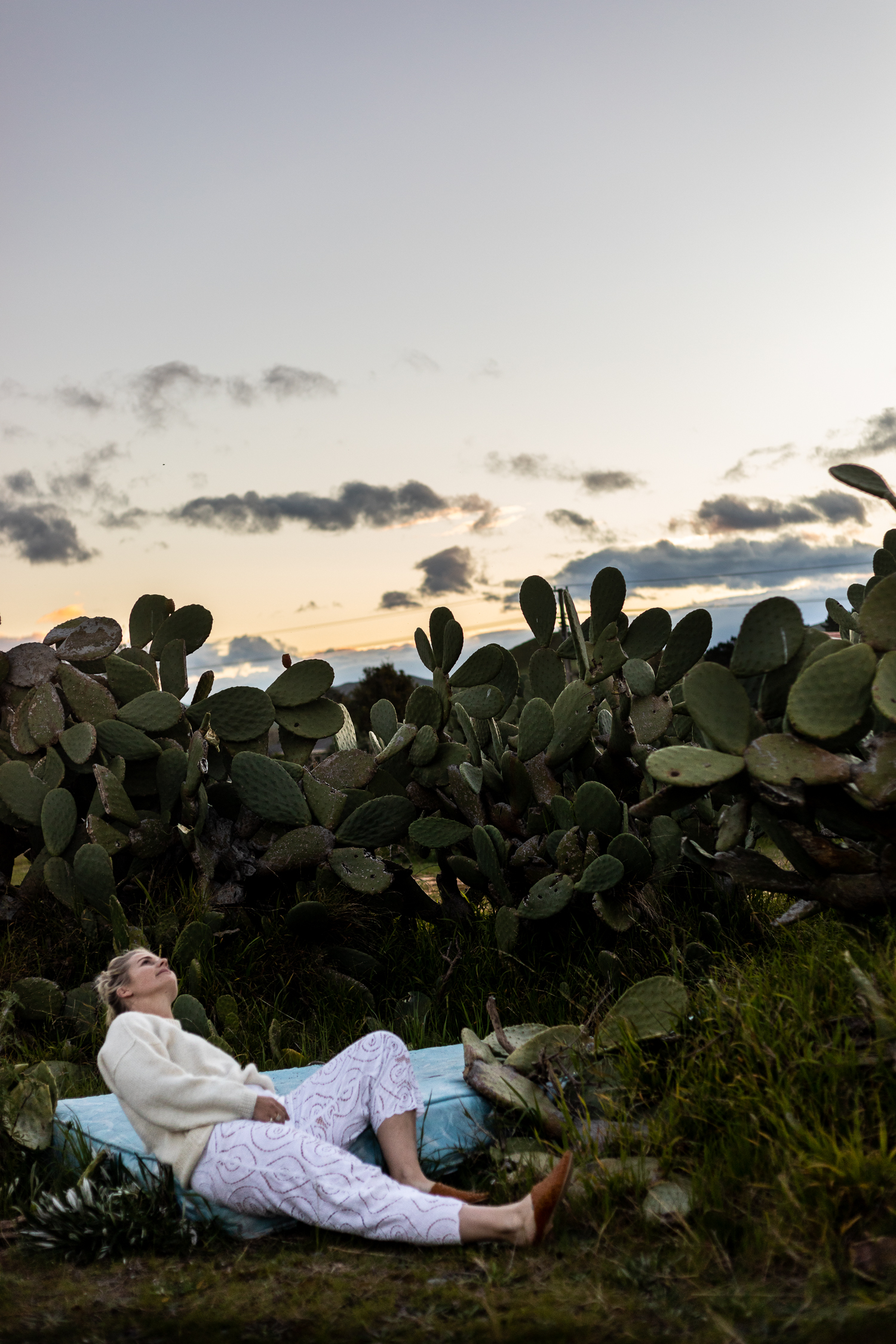 bay view cactus