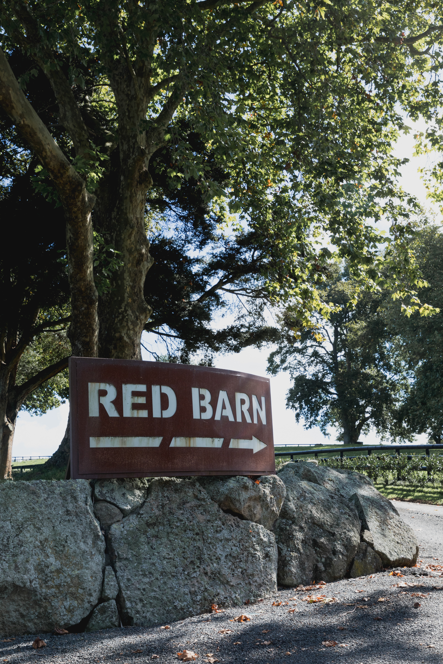 wedding-at-the-red-barn-new-zealand-wedding-photographer-front-sign.jpg