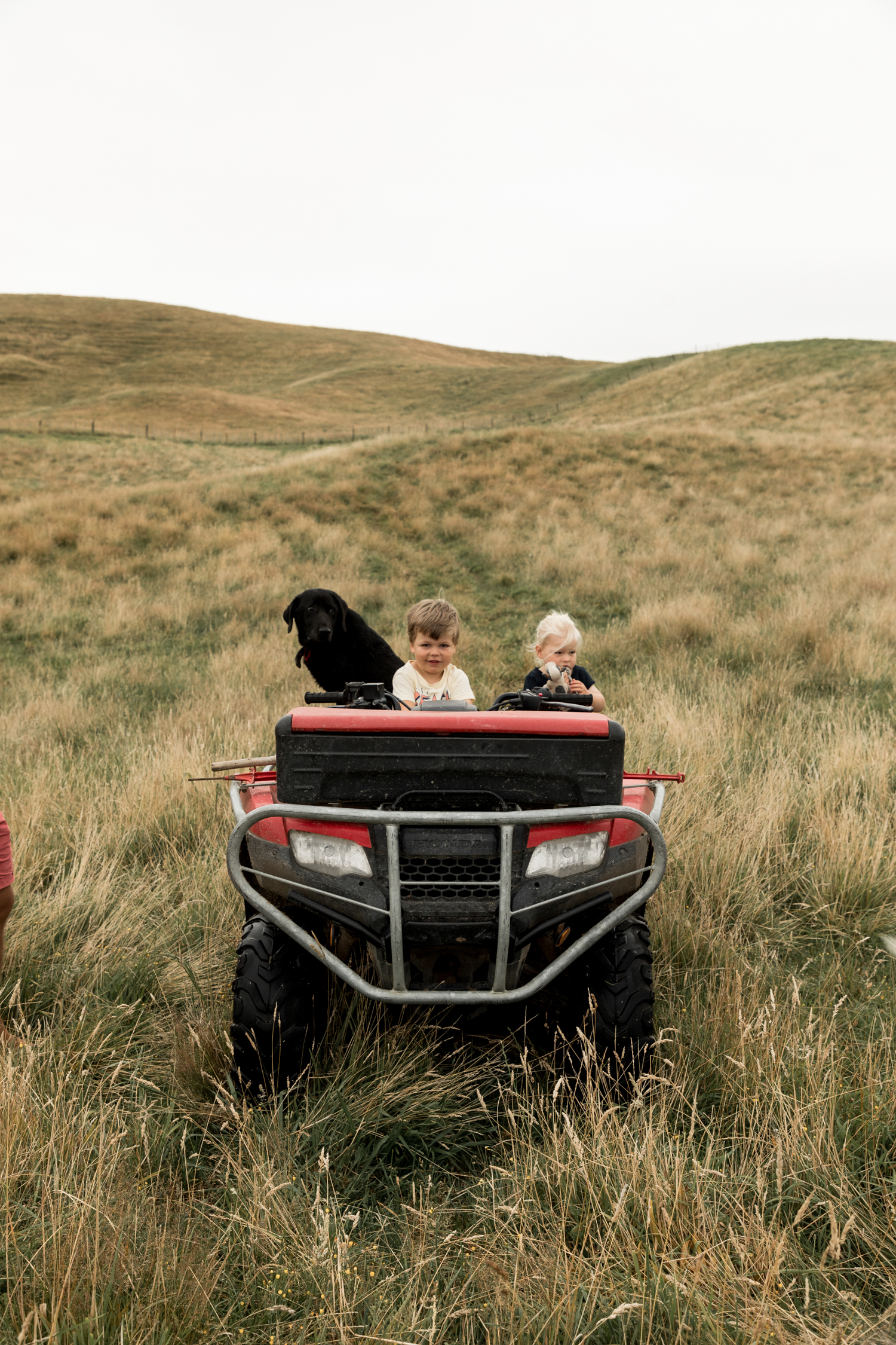 hawkes bay farming kids playing