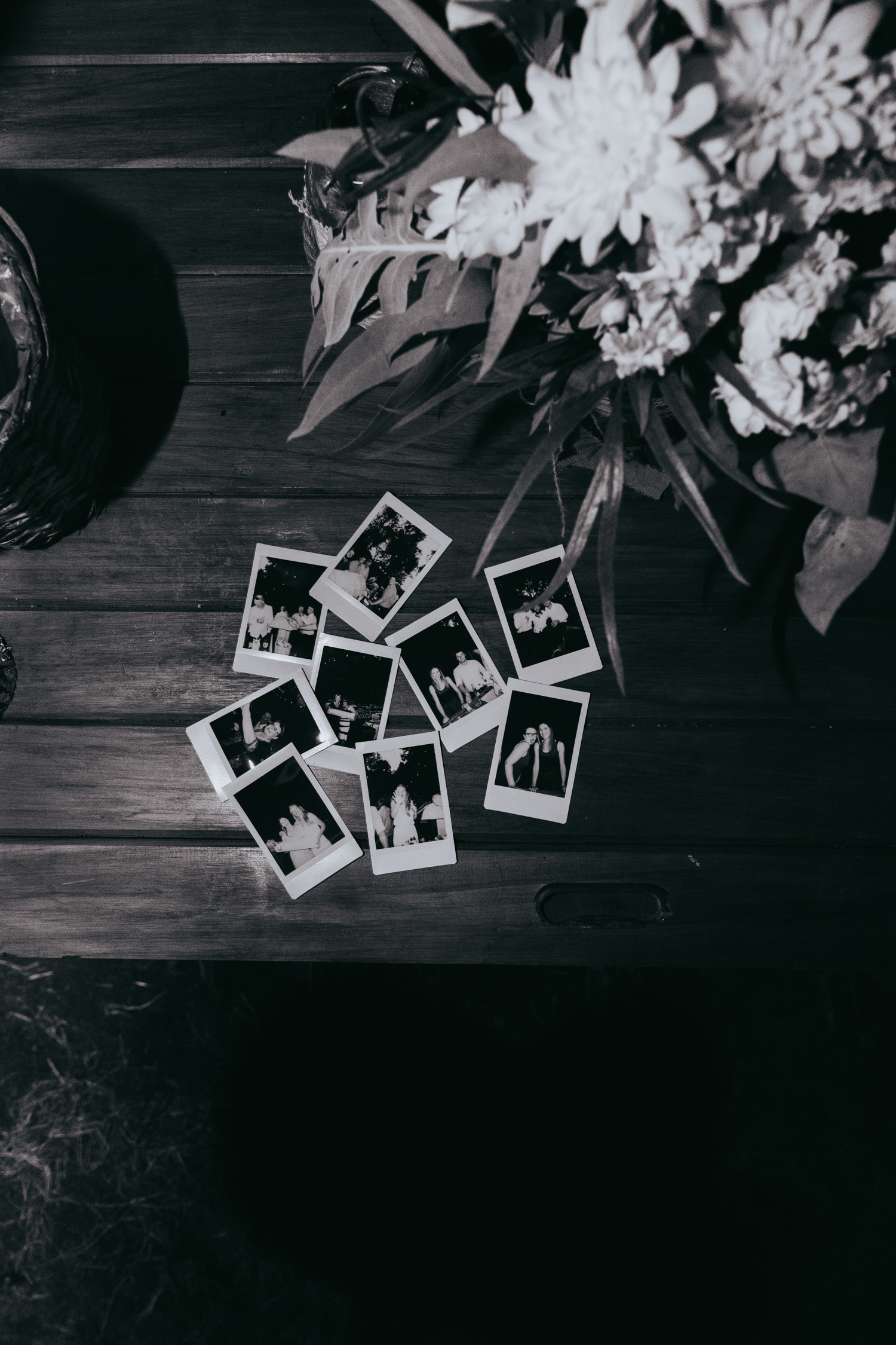 piopio waitomo new zealand wedding photographer