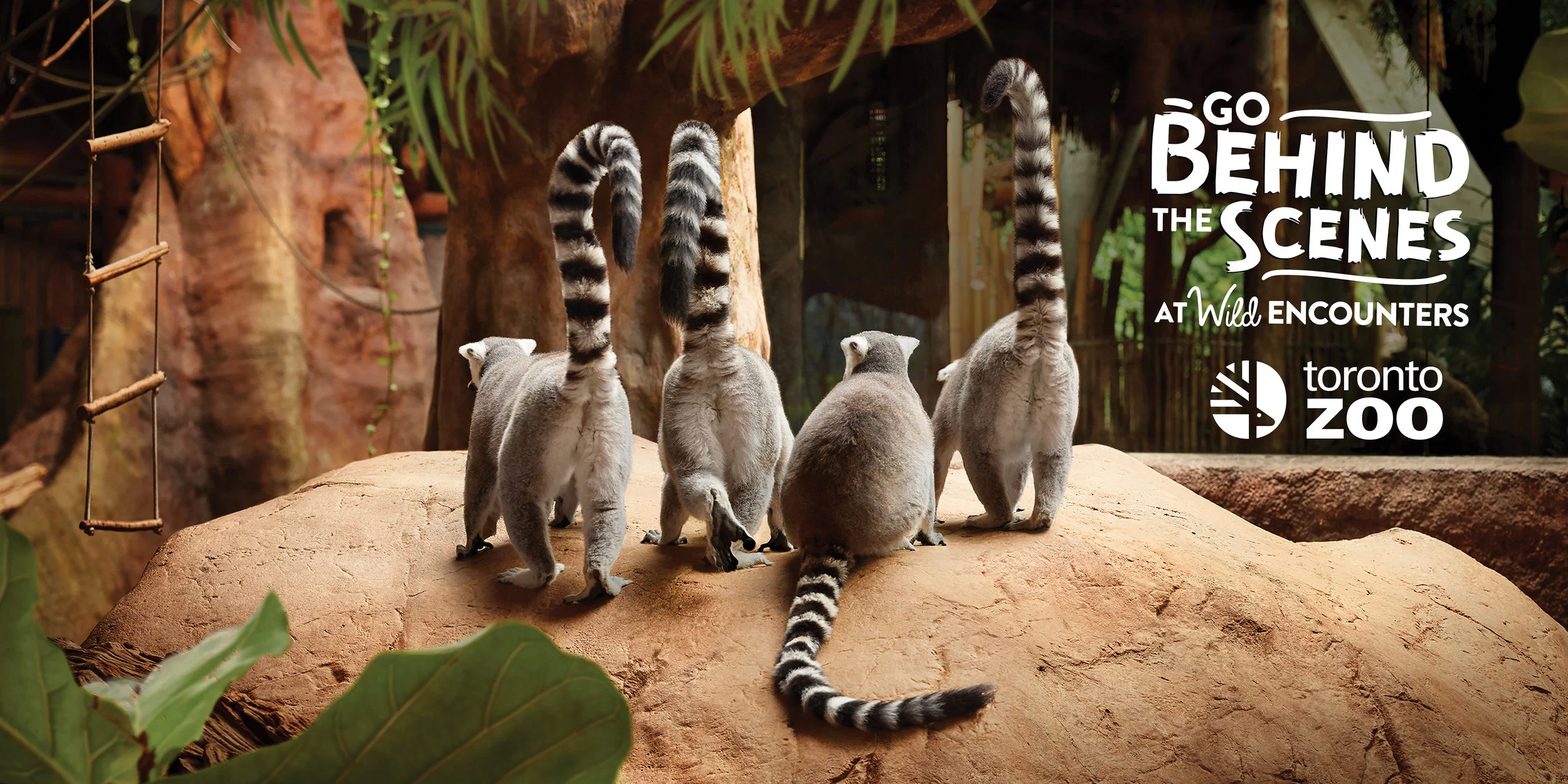 Toronto Zoo