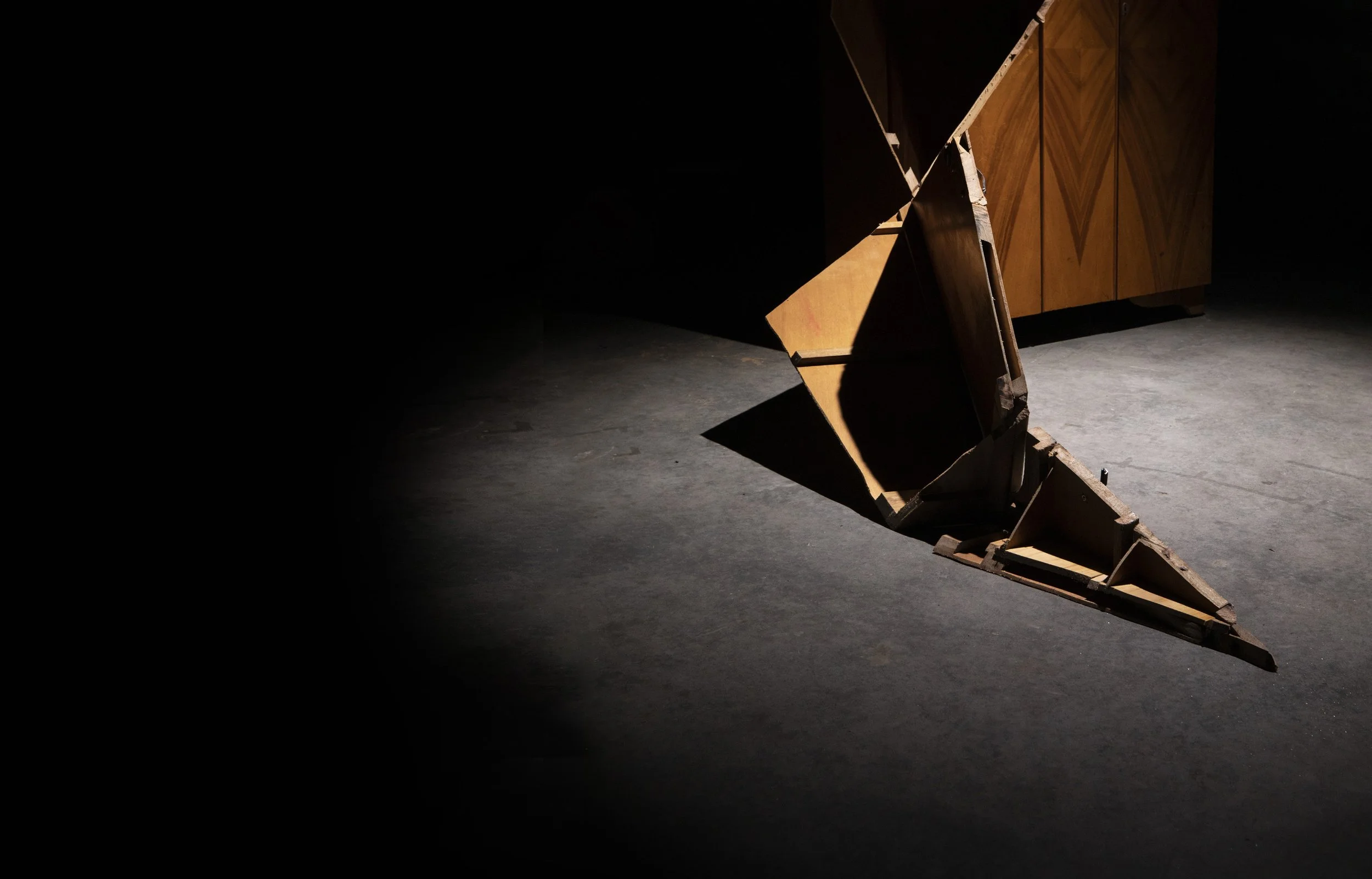 Veneer Website - just image.jpg