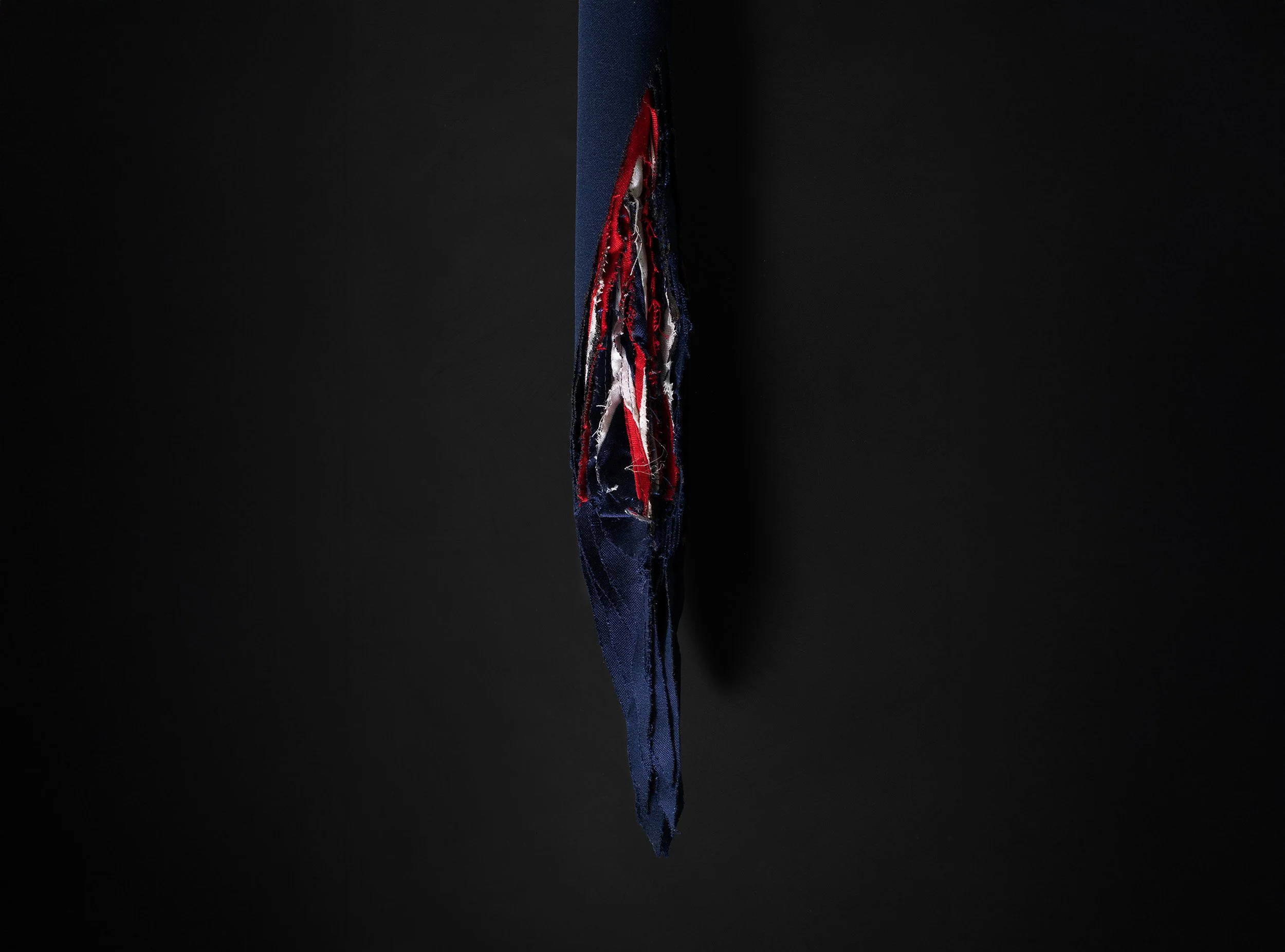 Limb - Robbie Rowlands - Close 1 Wide.jpg