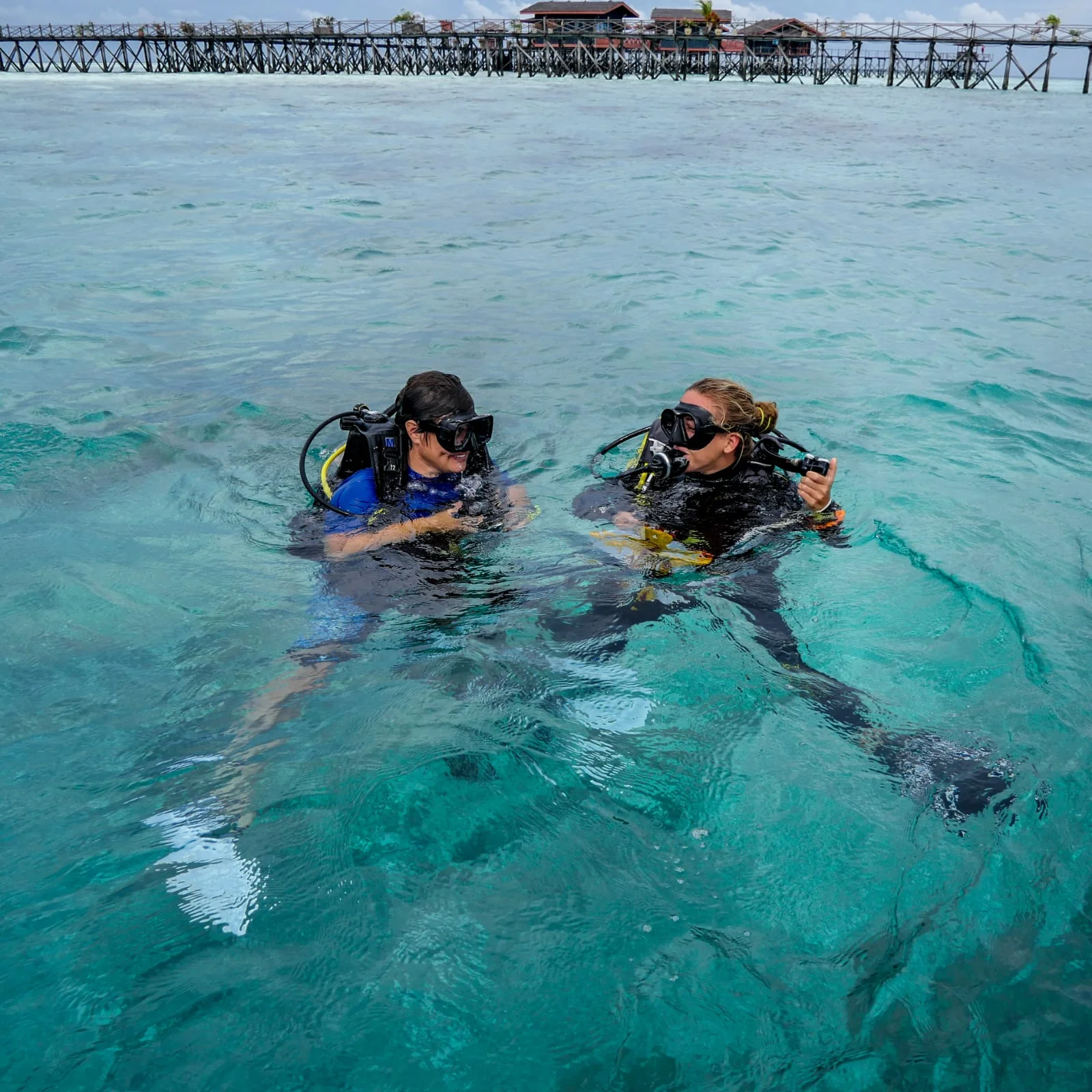 REEF CHECK TRAINING! — TRACC