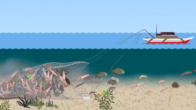 bottom-trawling-carousel_E6605408E02D4380AE46FABF07E00E99.jpg