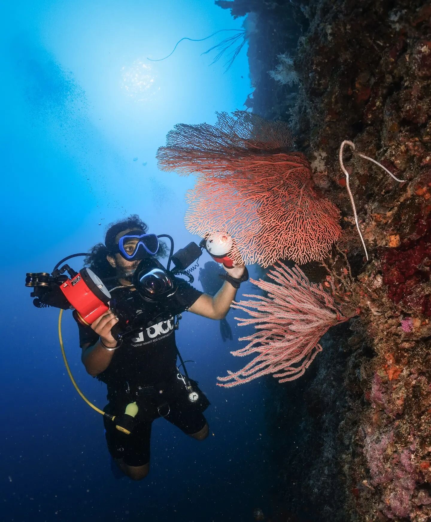 Wide angle doesnt stop the man @jeethvendra from looking for some pygmy seashorses!🤙📸🤌

#oceanlife #ourblueplanet #paditv #underwaterphotography #underwater #underwaterworld #scubadiving #scuba #diving #ocean #sea #marinelife #photography #earthca