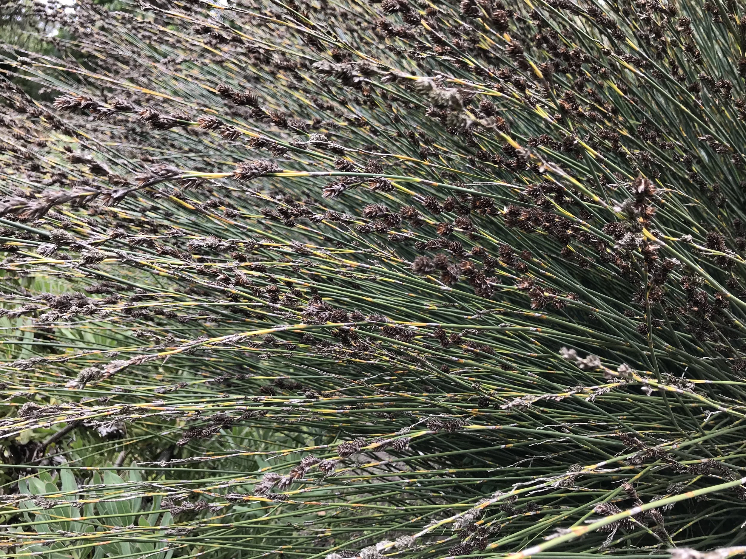 Create from everything