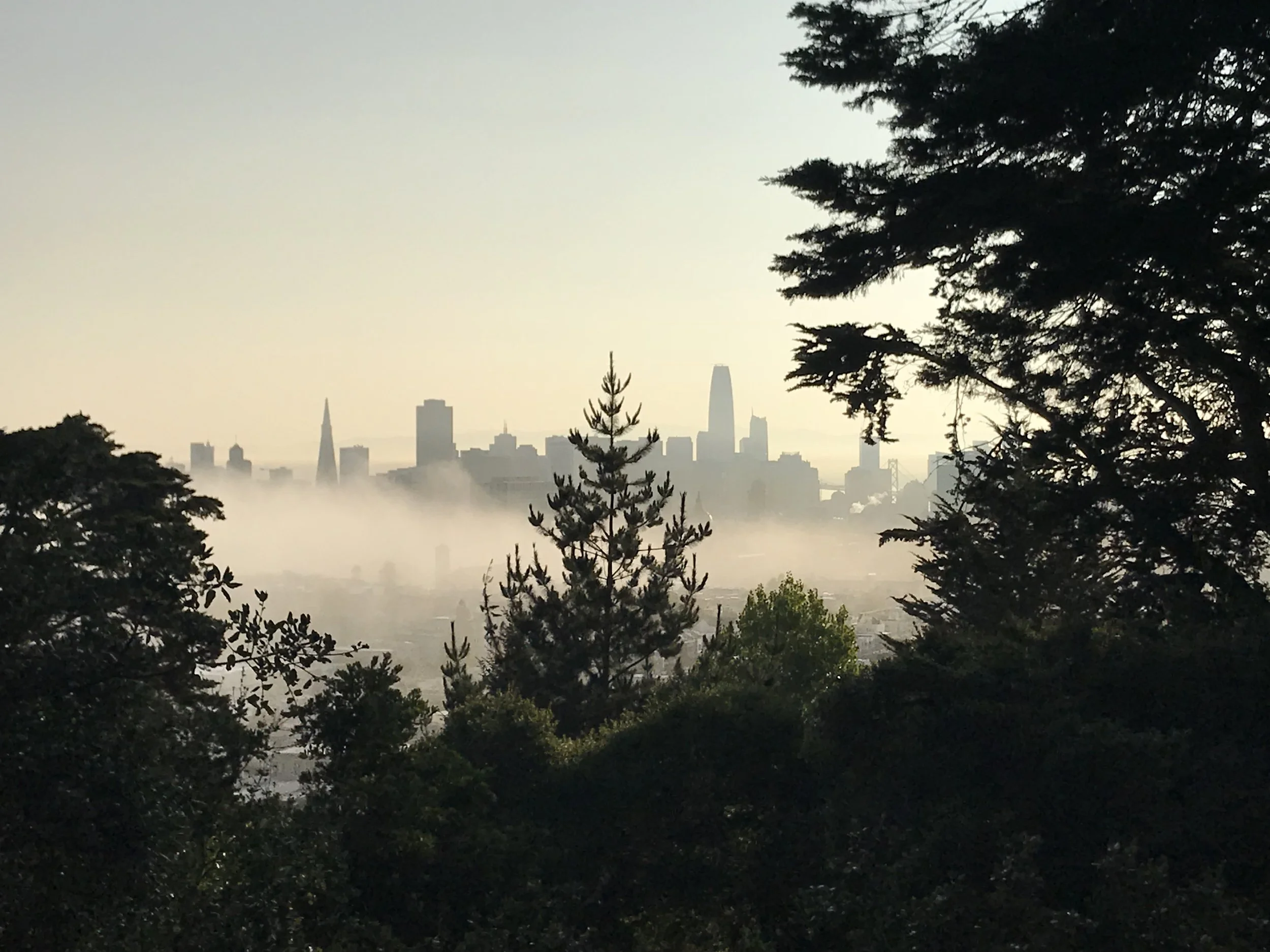 The view near the top of Buena Vista Park