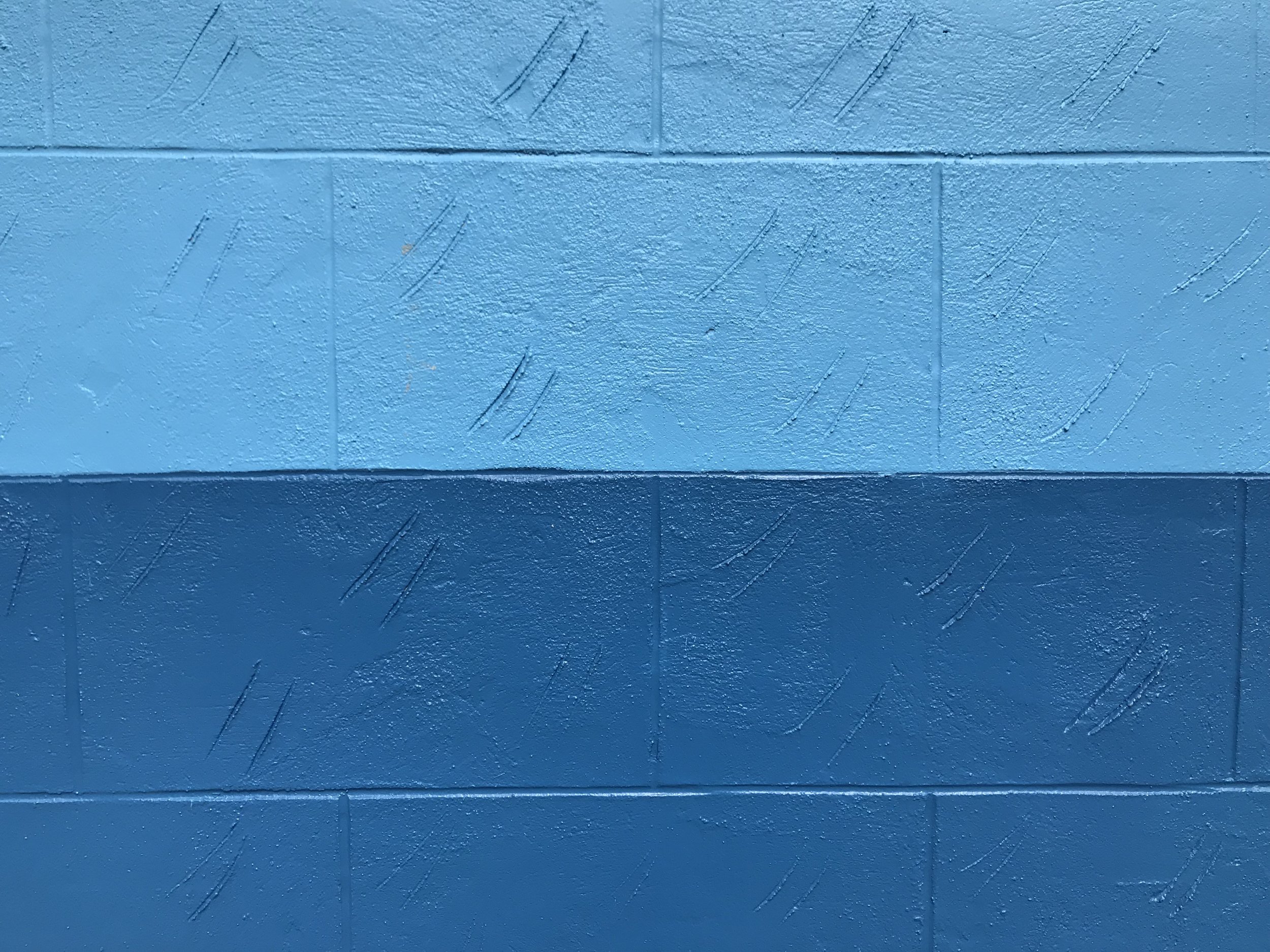 A blue wall in the neighborhood, from my walk the other day