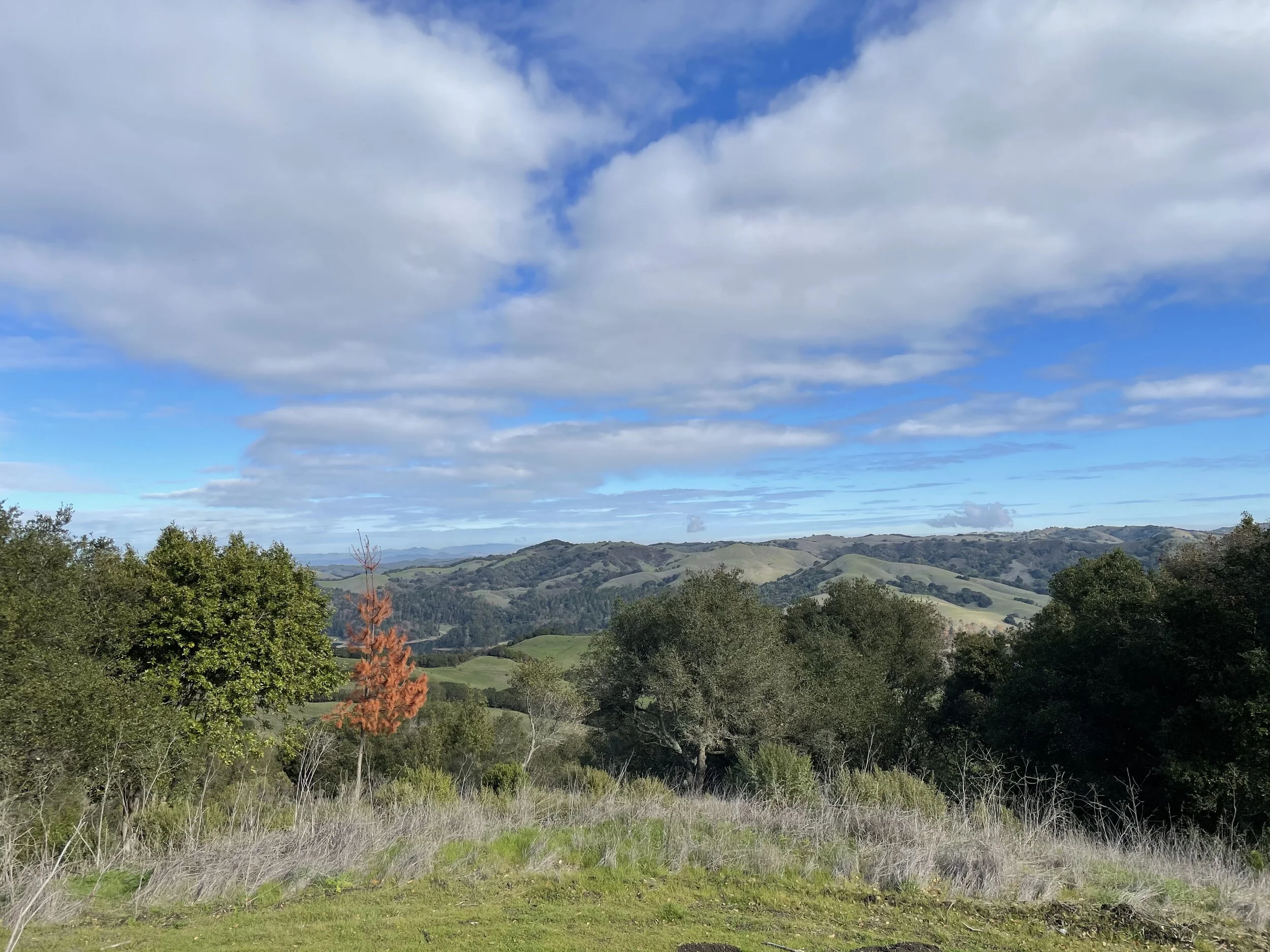 The view from the start of Nimitz Way in Berkeley this past weekend.