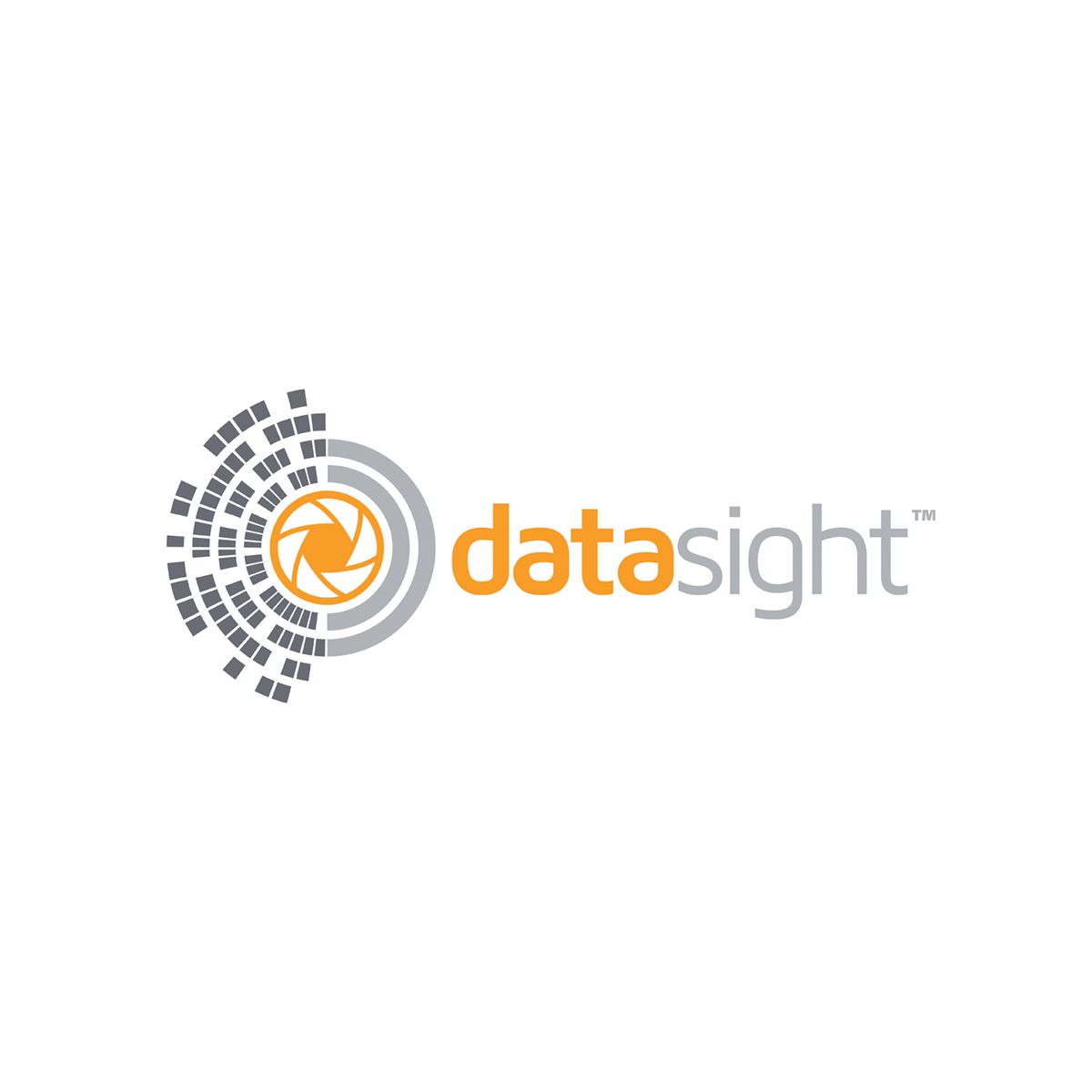 Datasight logo.jpg