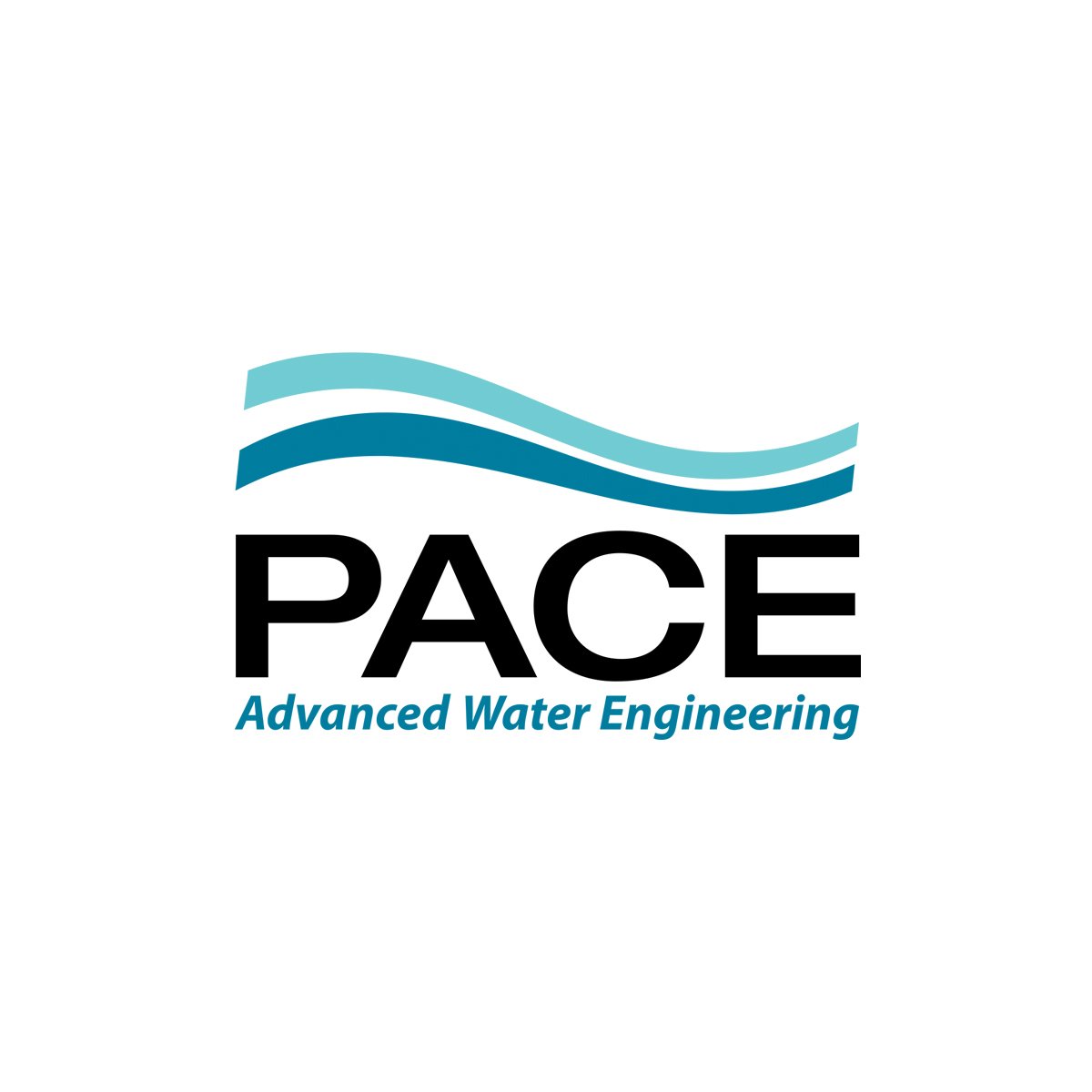 PACE logo.jpg