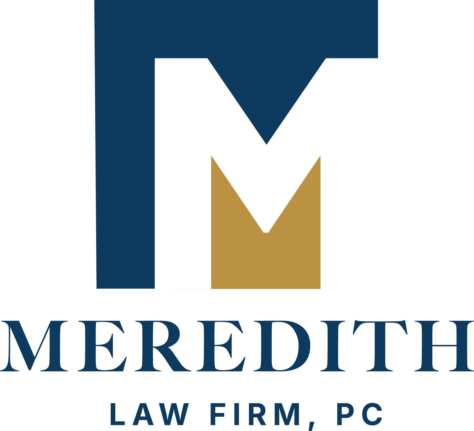 PLATINUM - Meredith Law.jpg