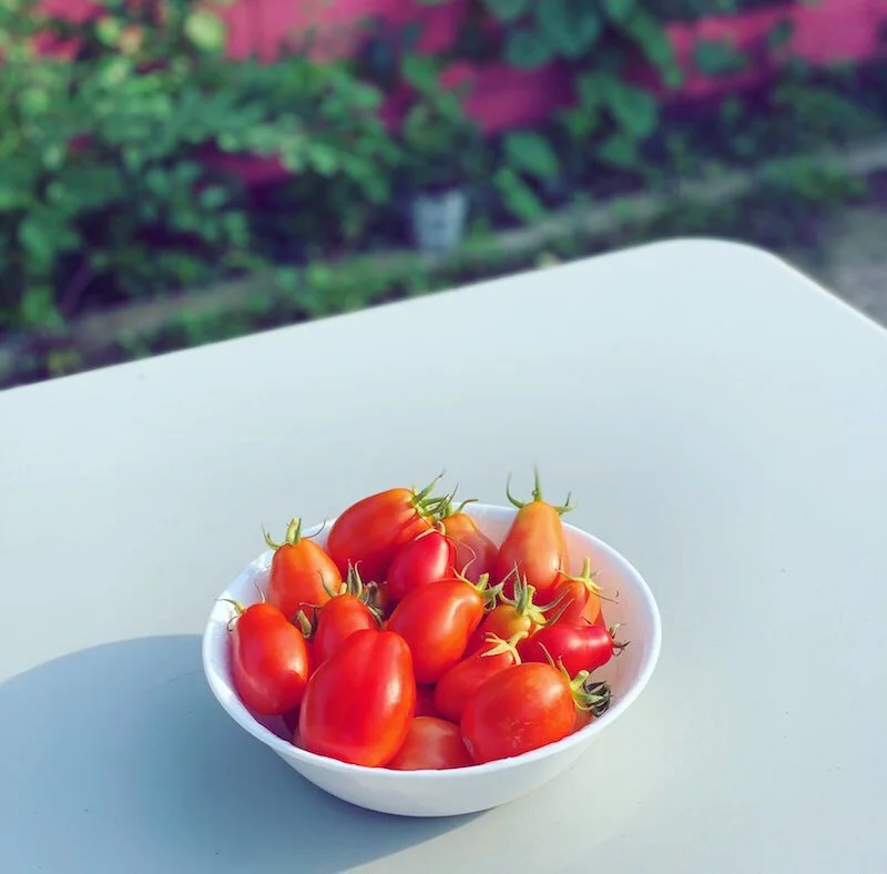 How a Garden in Detroit Became a Link to Ancestral Heritage
