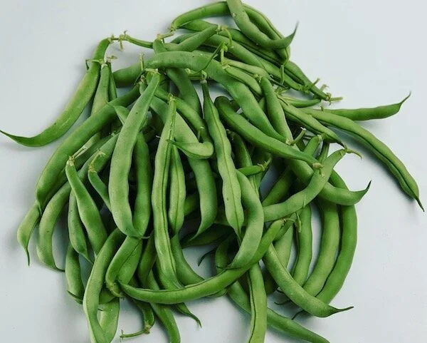 Where the Green Beans Grow