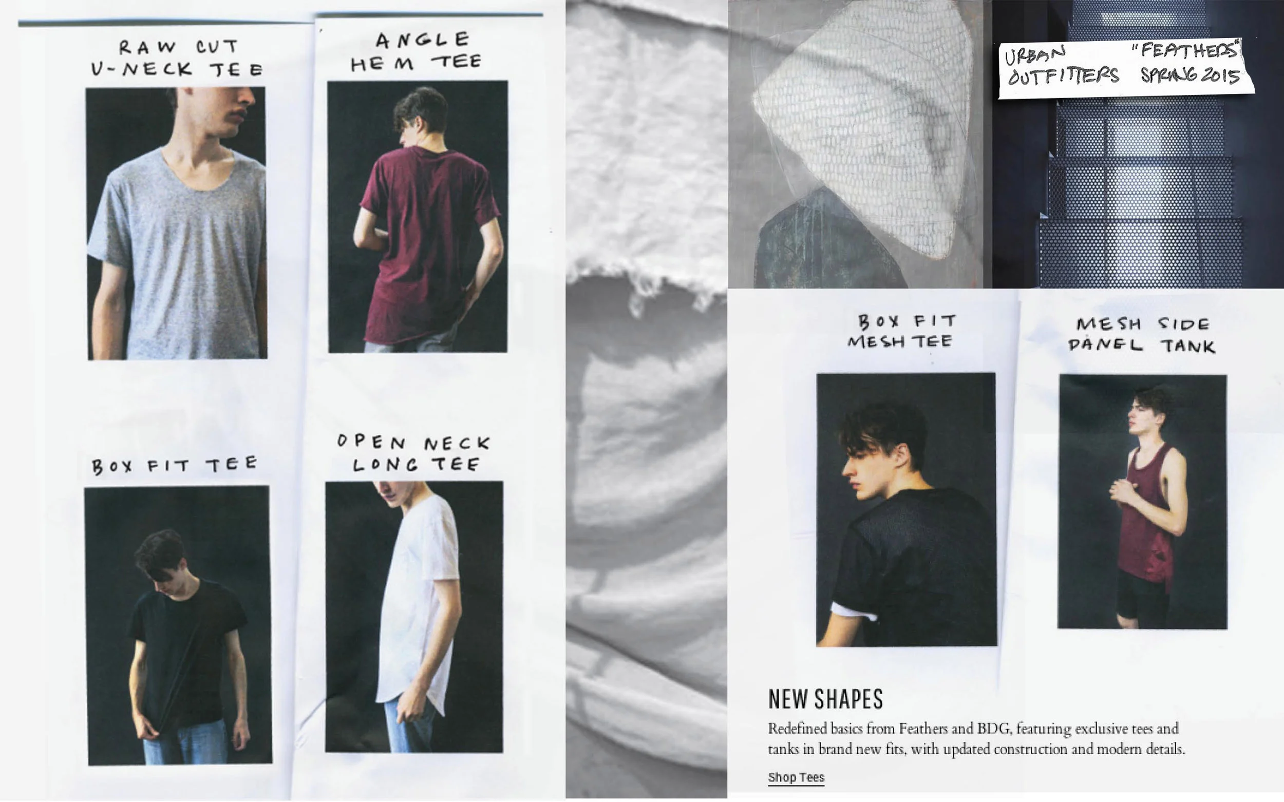 feathers 1-SP 2015.jpg