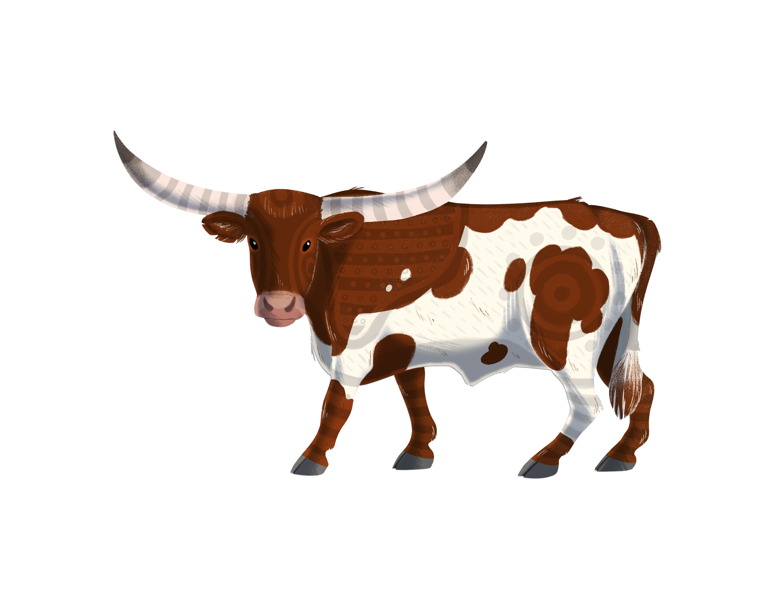 Longhorn