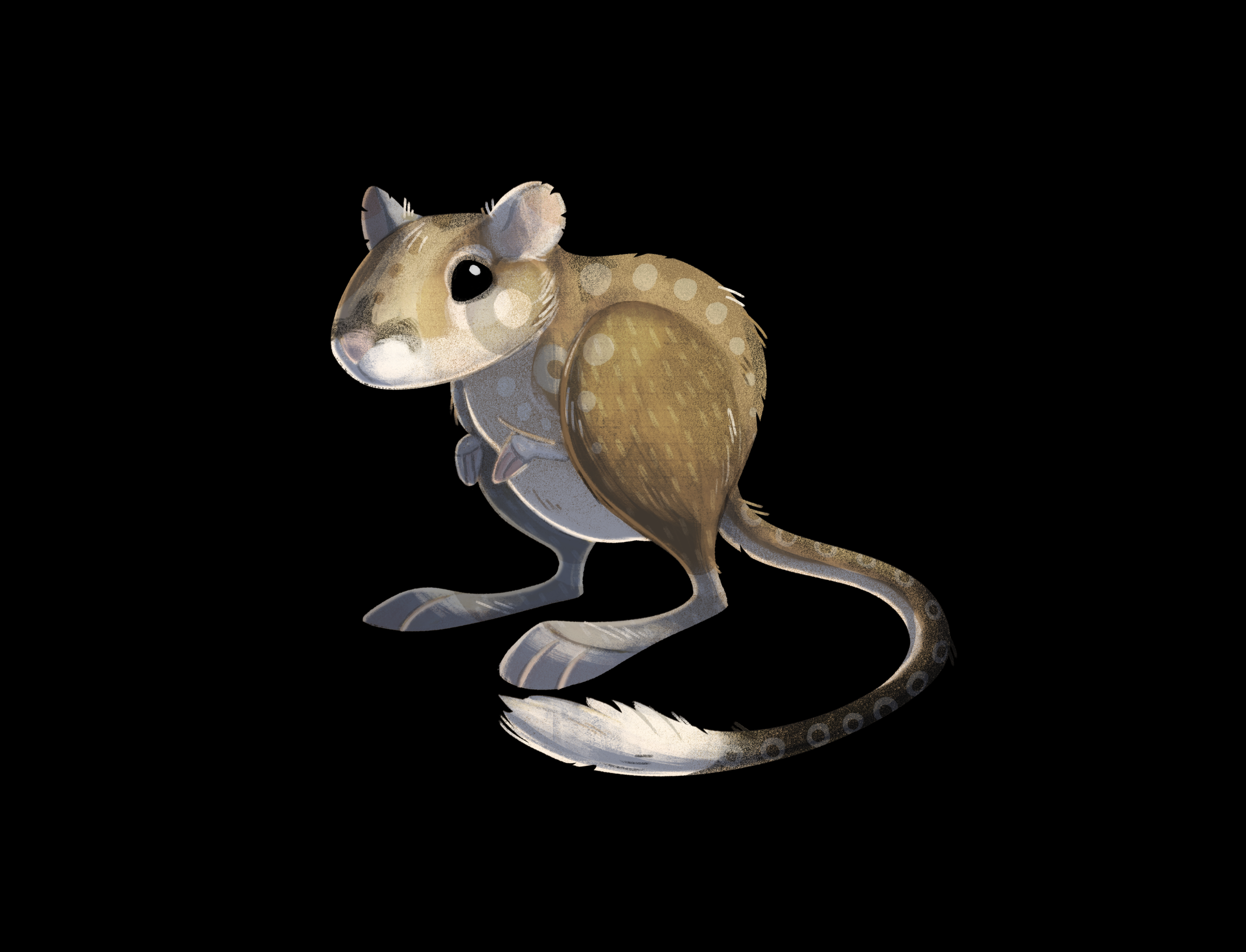 Kangaroo Rat