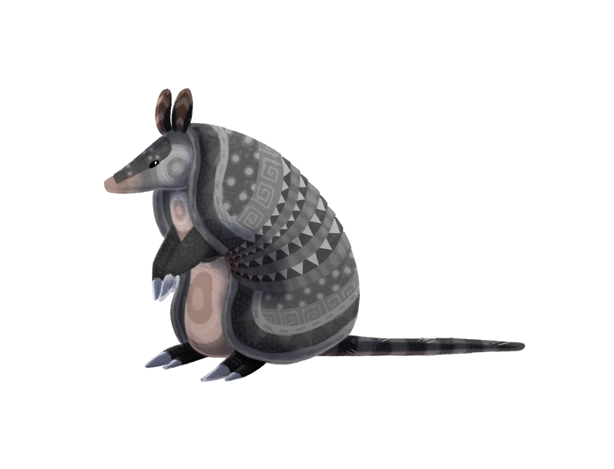 Armadillo
