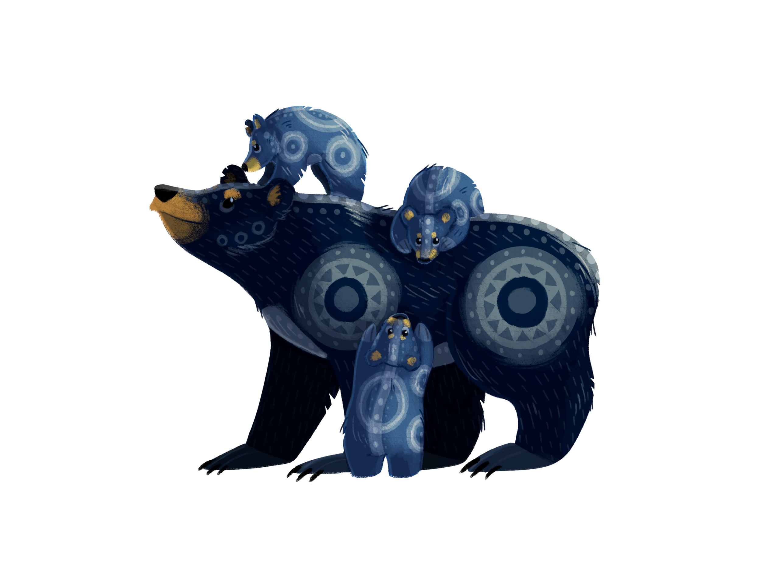 Black Bears
