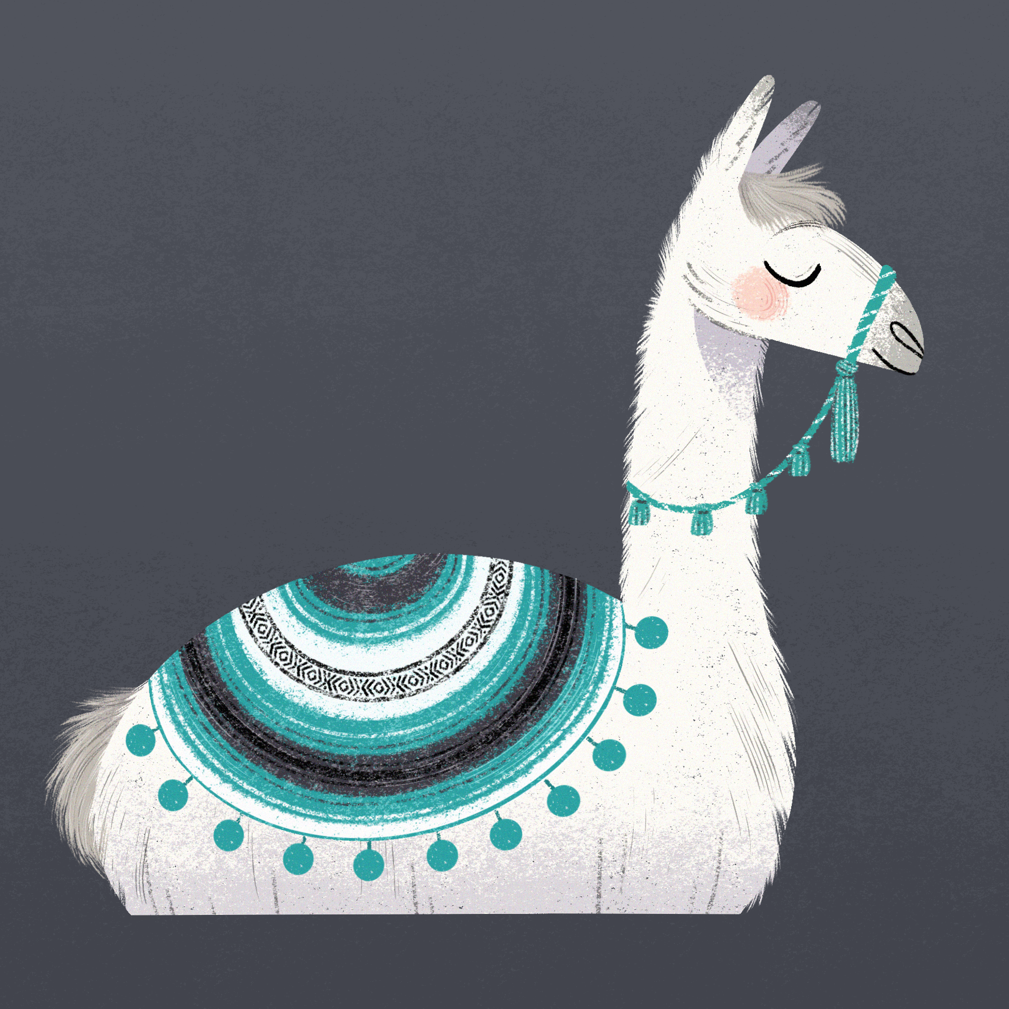 image00012.png