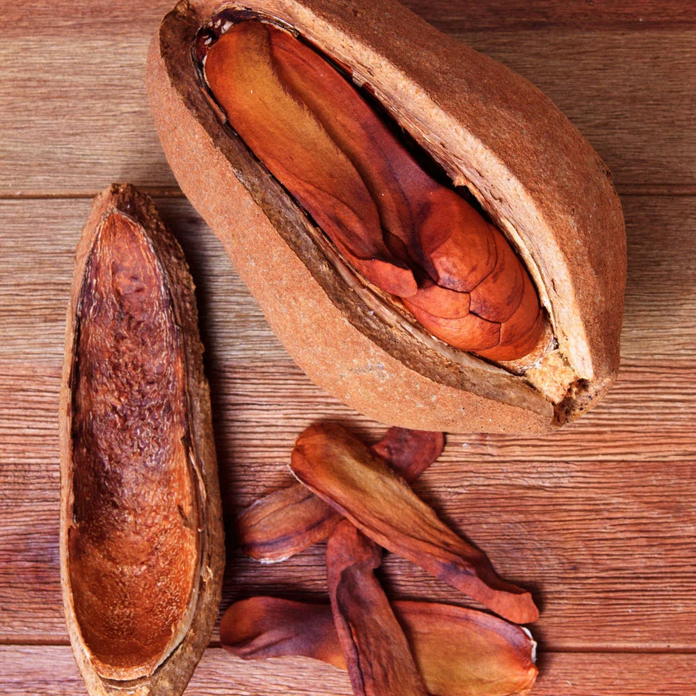 MAHOGANY + TEAK EXTRACTS Teak extract is often used in Ayurvedic medicine to strengthen hair structure and also for its antibacterial properties. Mahogany is a plant often used in traditional African medicine for its healing properties.