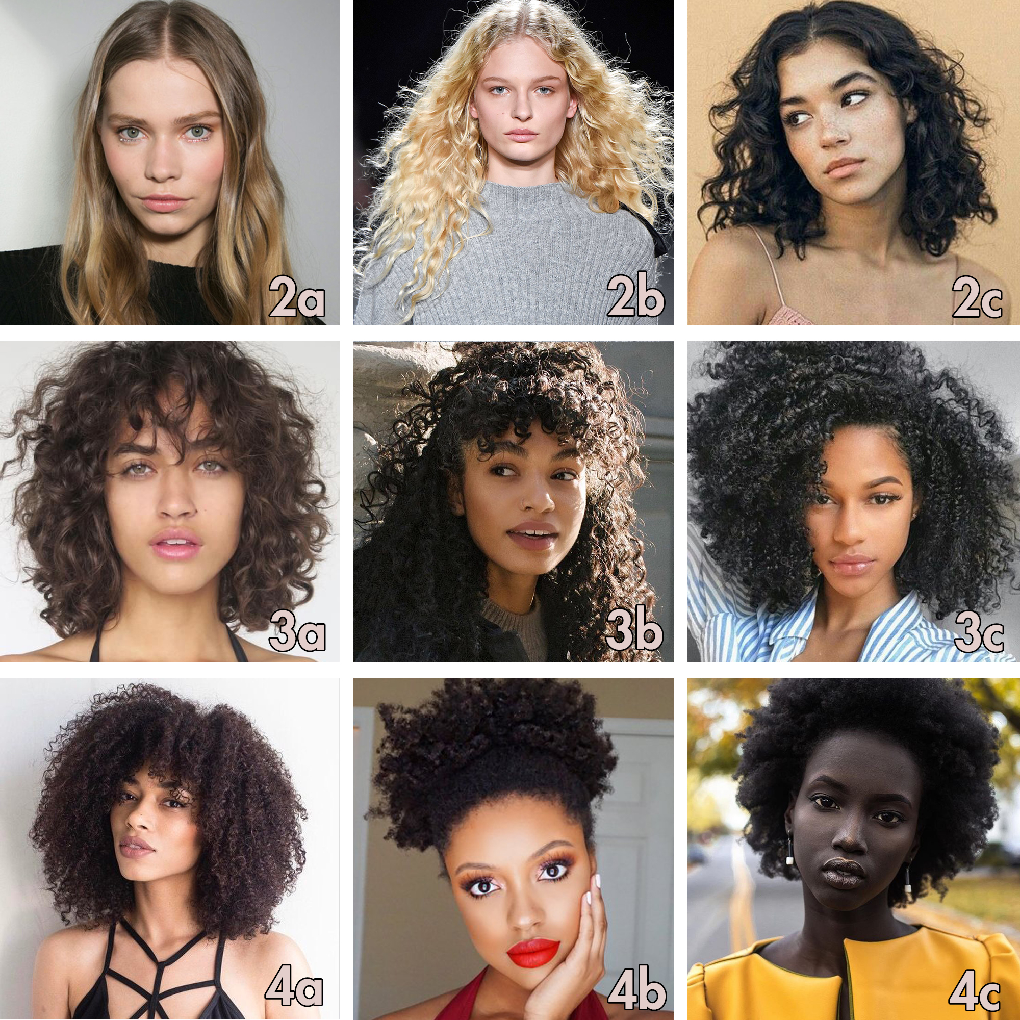 Curly Hair Types Girls With Different Patterns Of Curl And Waves Portraits  Of Diverse Women Hand Drawn Doodle Style Vector Kinky Coily And Corkscrews  Hair Stock Illustration  Download Image Now  iStock