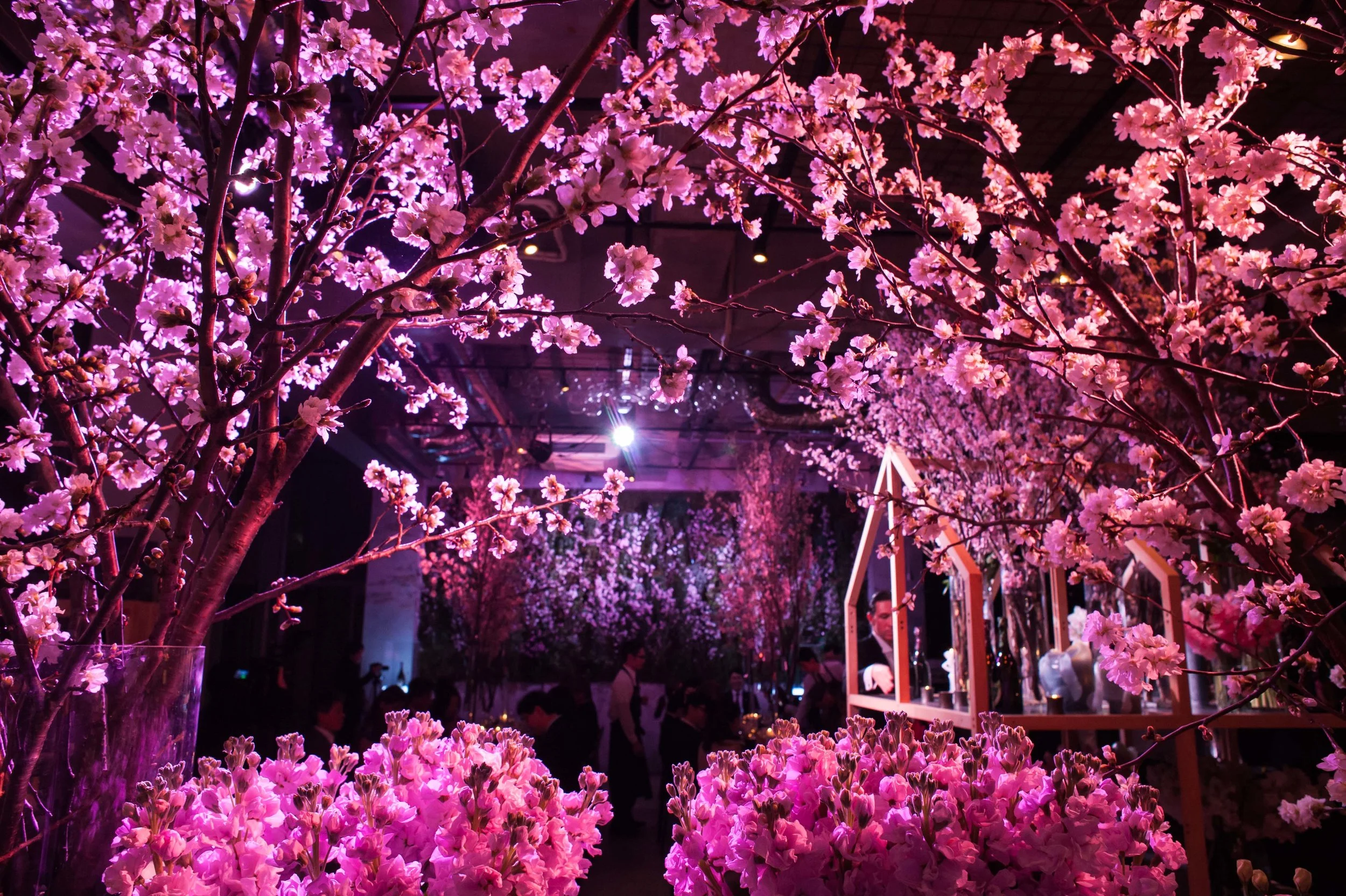 20150319_small_0431のコピー.jpg