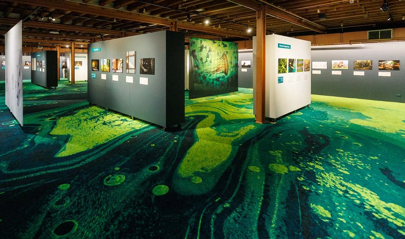 04Wildlife Photographer.jpg