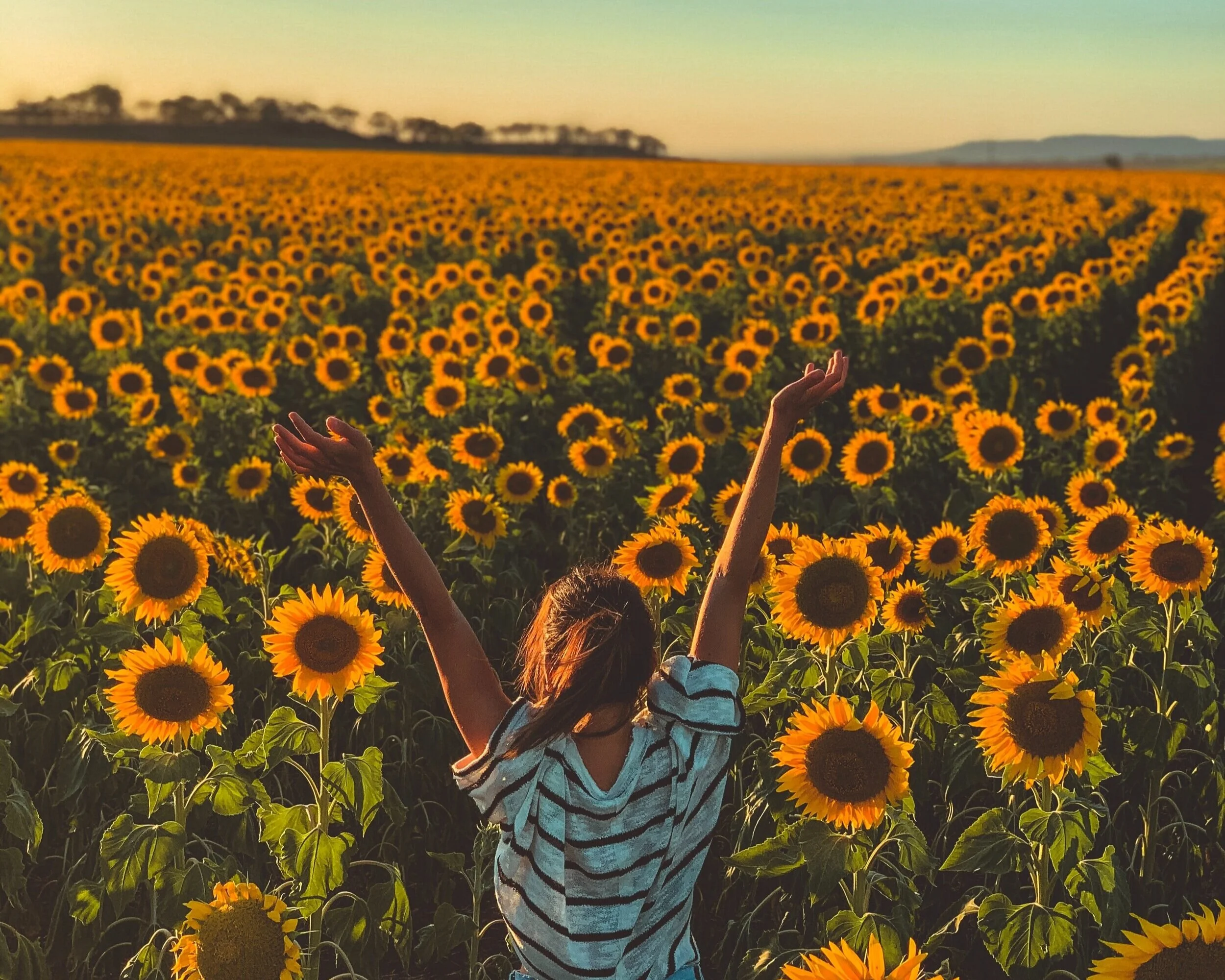 Warriors Not Worriers