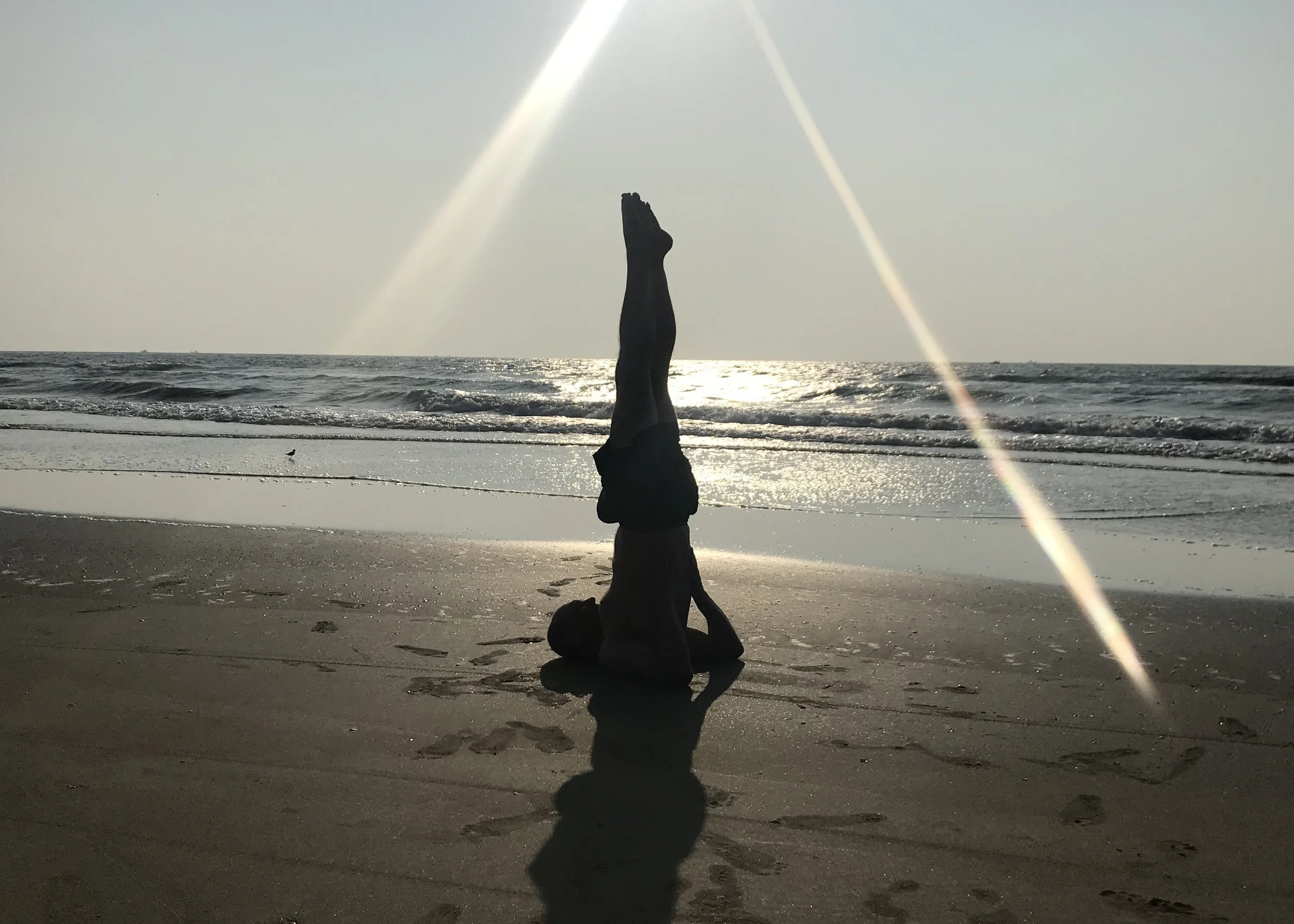 yoga.jpg