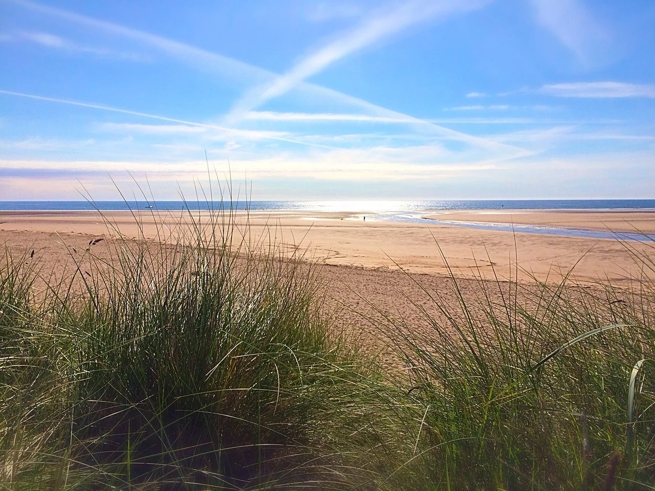 DogFriendlyAlnmouthBeach.jpg