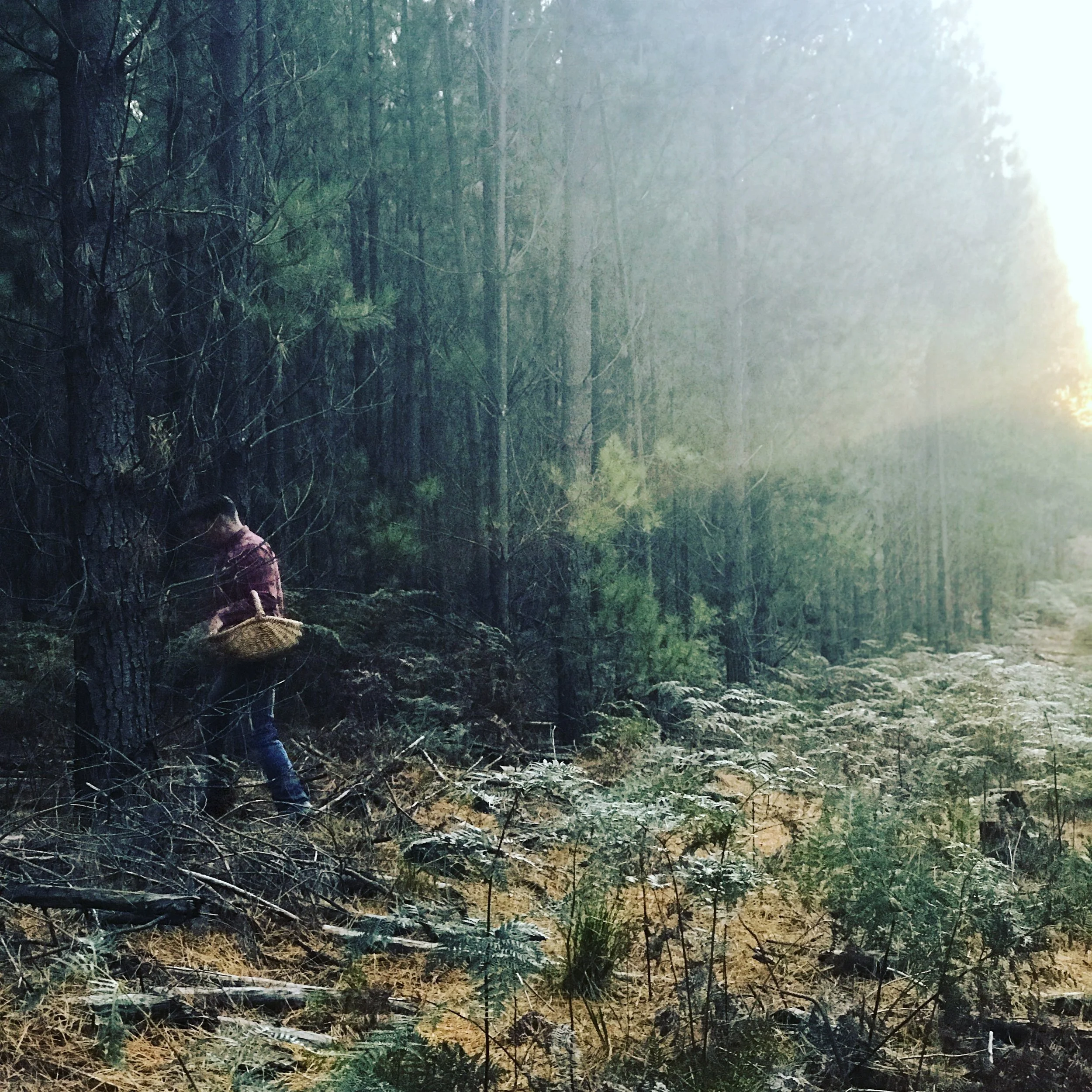 Create space to reflect, dream &amp; think big