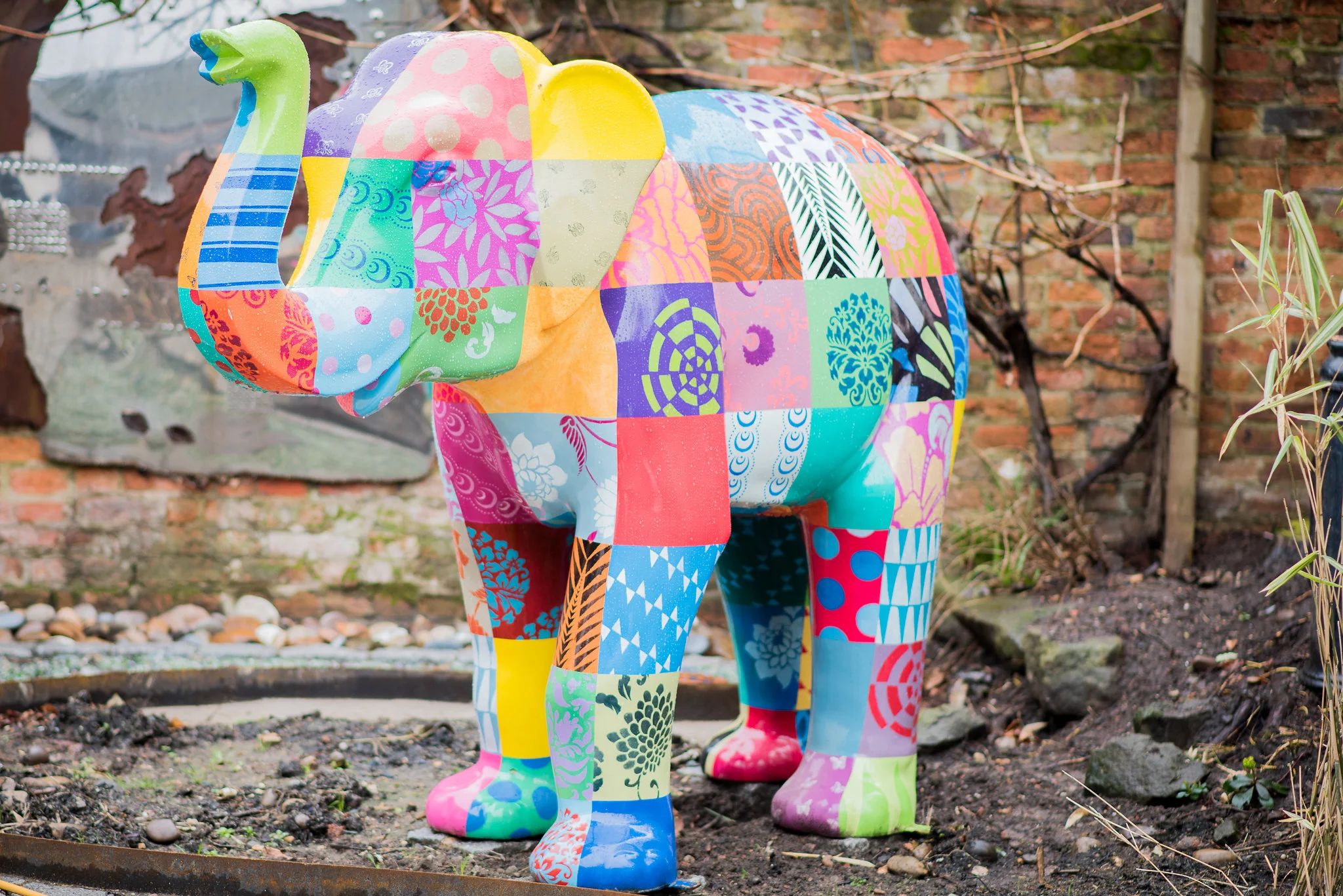 Elephant Rooms