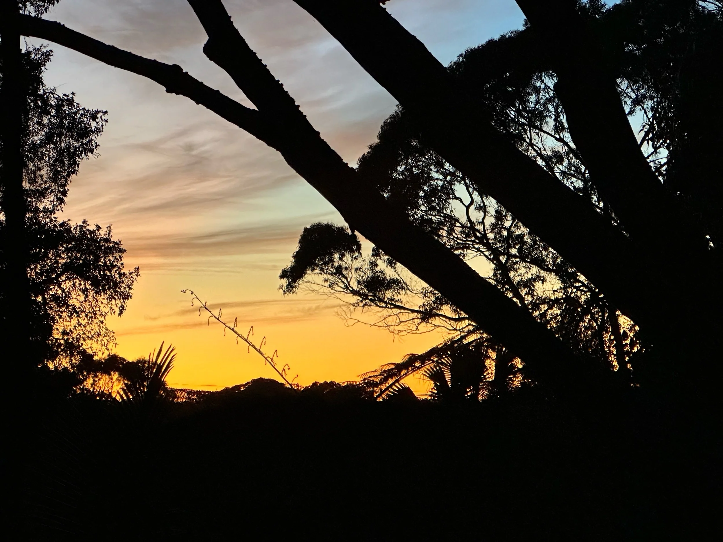 Aus 2 - Soft Landings in Waterfall Cottage