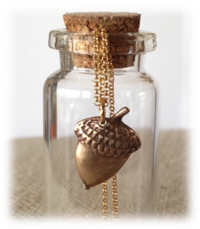 Acorn