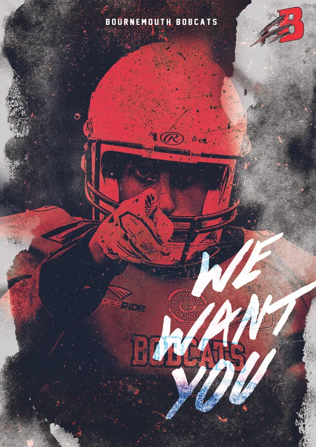 bobcats 3 650px ..jpg