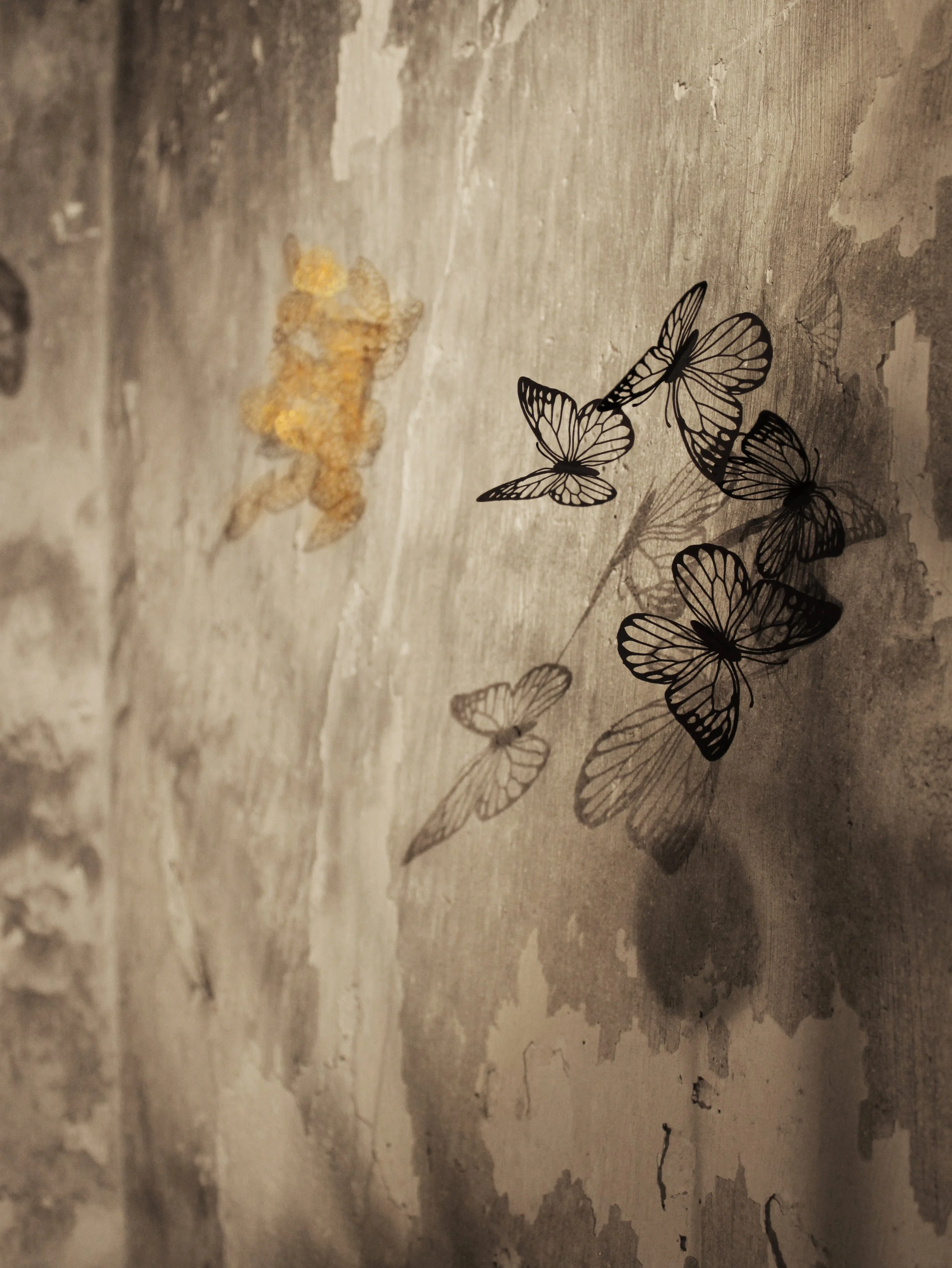 IMG_4201 copy.jpg